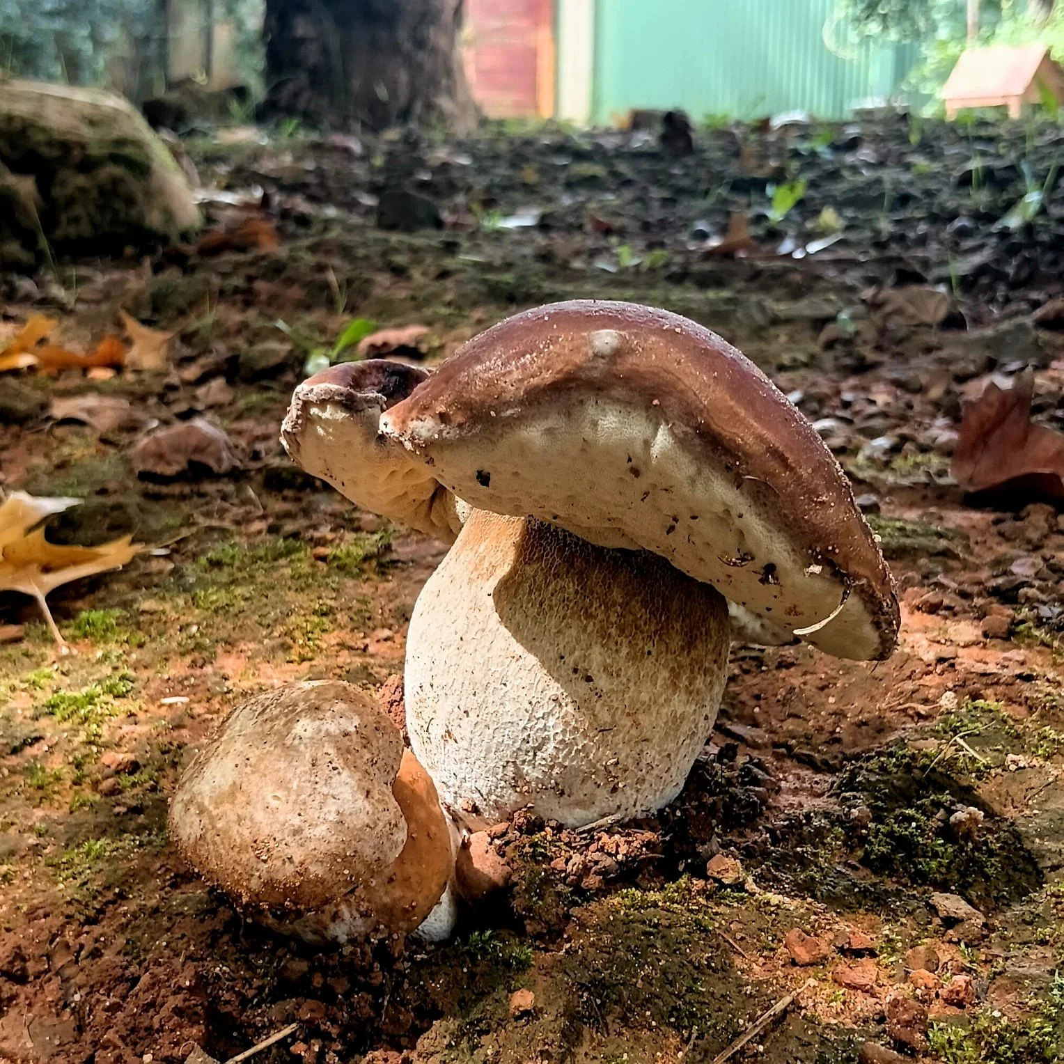 WhatsApp Image 2026-03-22 at 14.31.17 (2).jpeg