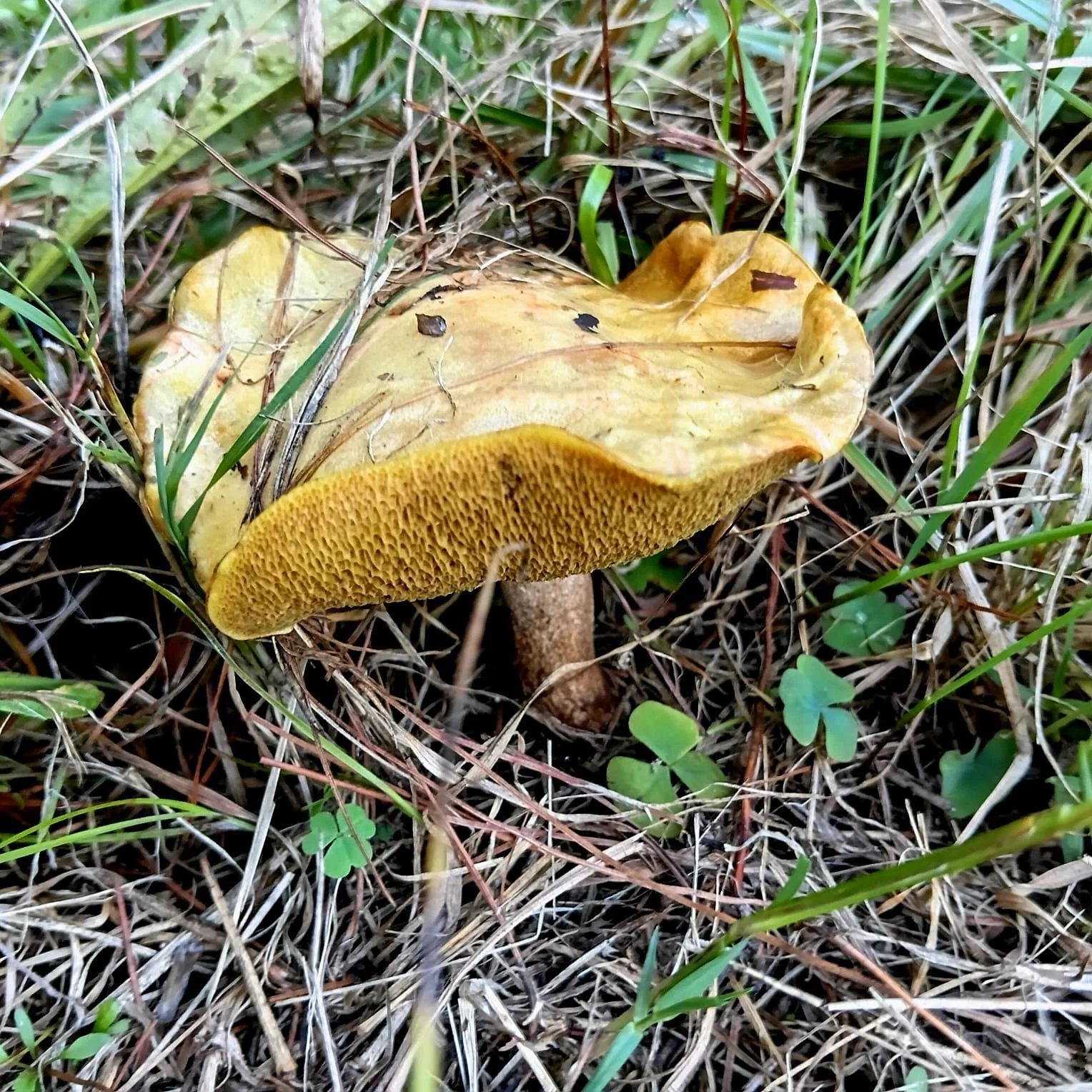 WhatsApp Image 2026-03-22 at 14.31.10.jpeg