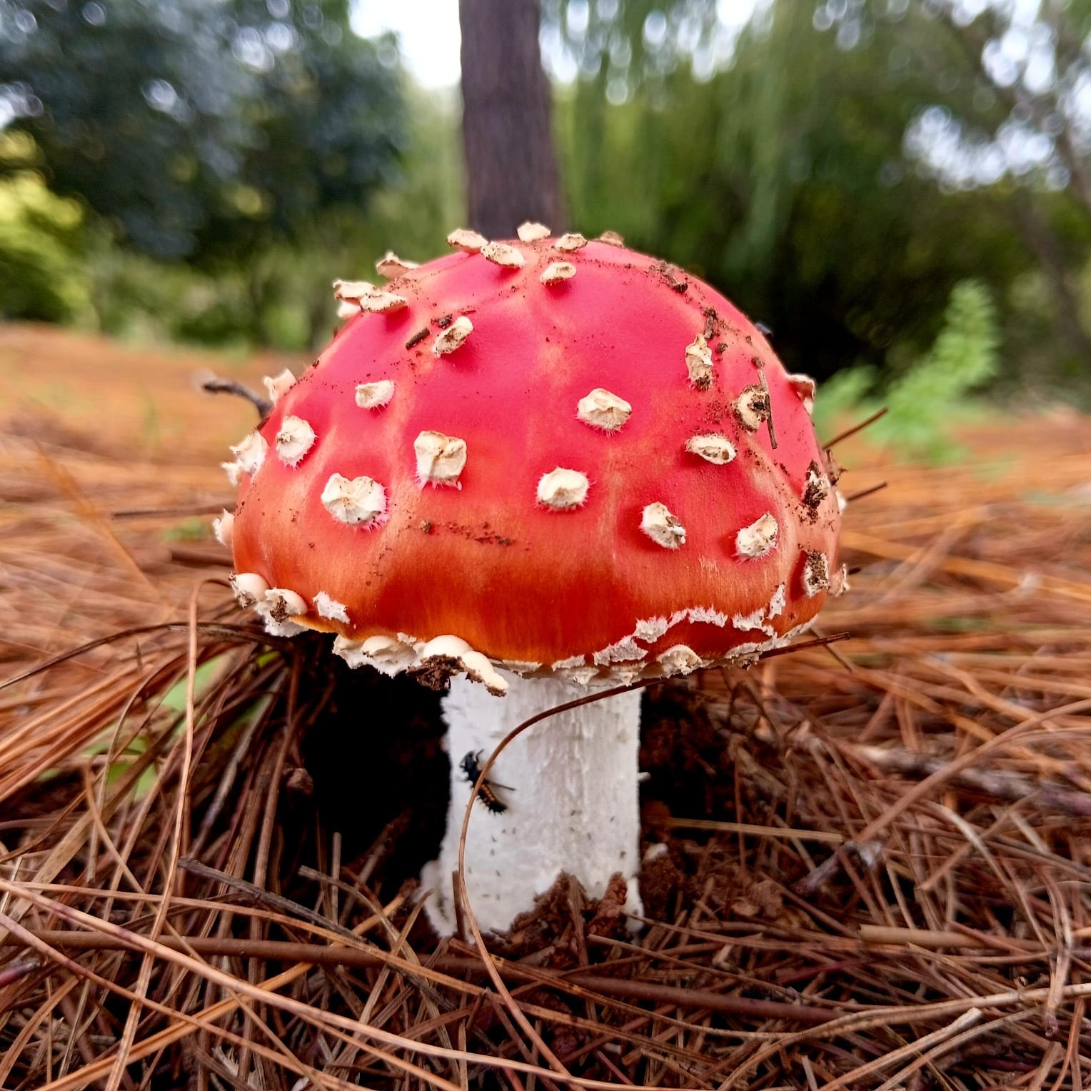 WhatsApp Image 2026-03-22 at 14.31.16.jpeg