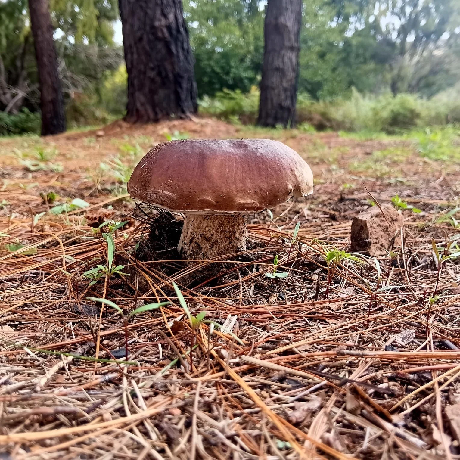 WhatsApp Image 2026-03-22 at 14.31.12 (3).jpeg