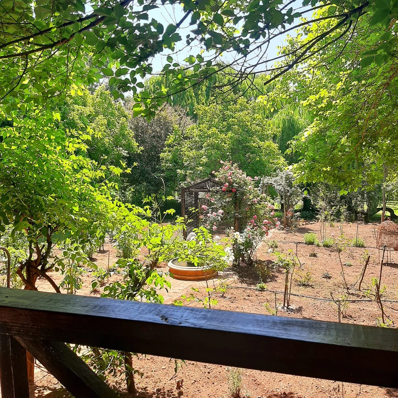 Snug New View 1.jpeg