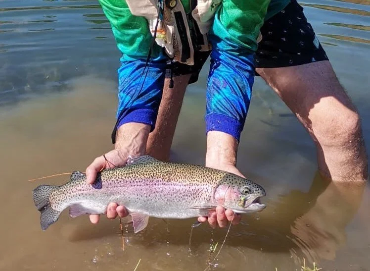 Trout A.jpg