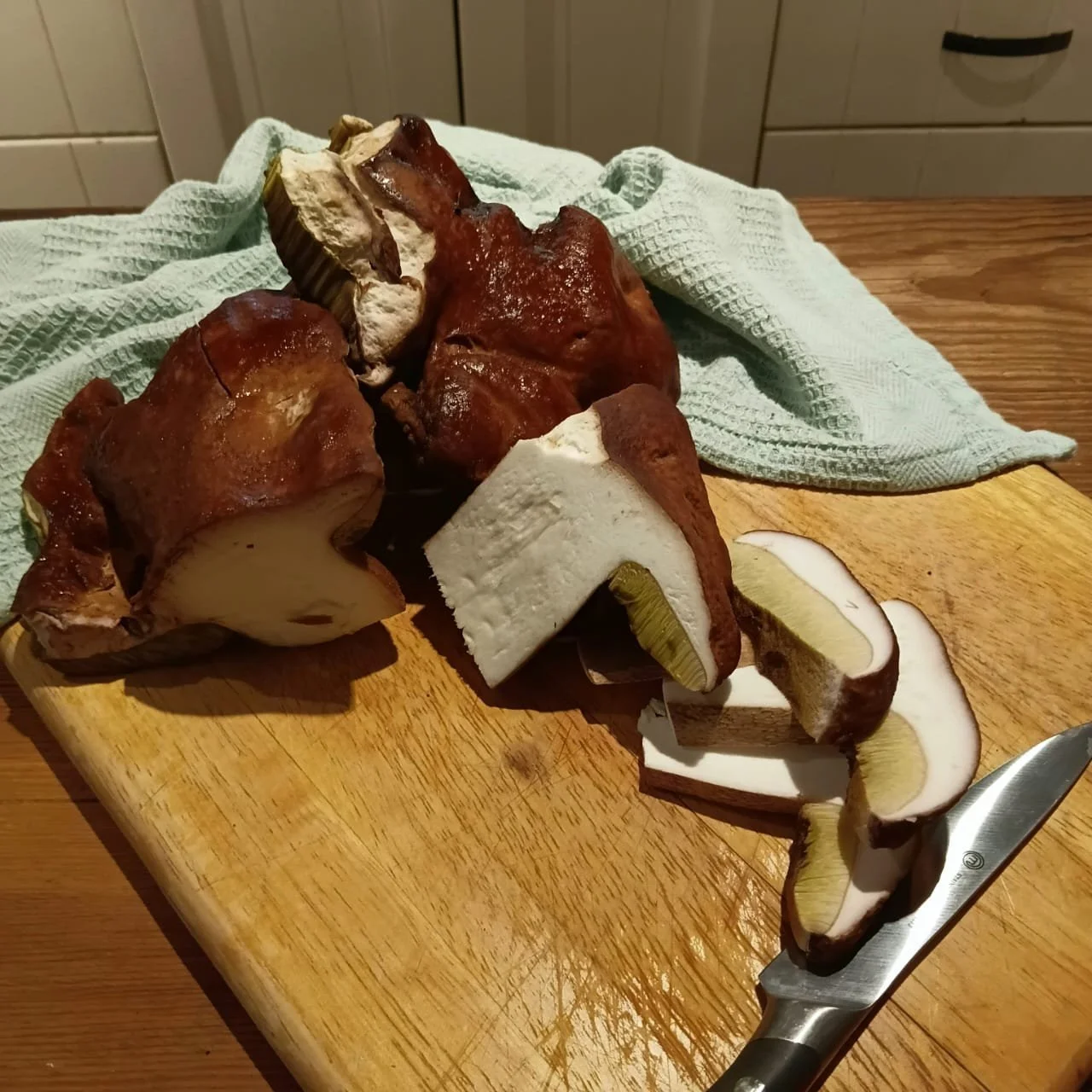 WhatsApp Image 2026-03-23 at 11.31.20.jpeg