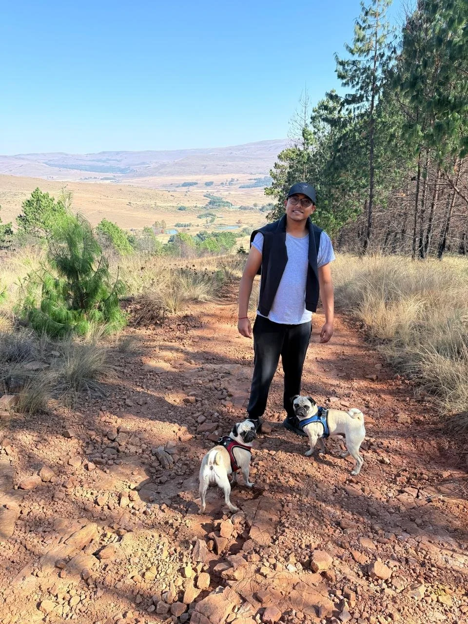 Hiking with pets.jpg