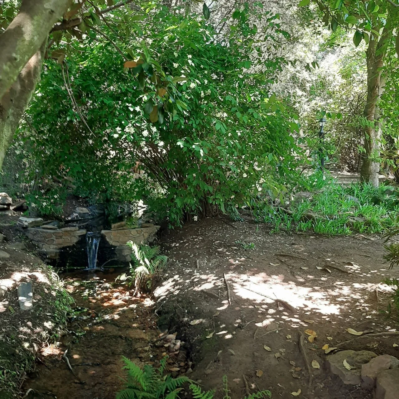 Snug New Fountain.jpeg