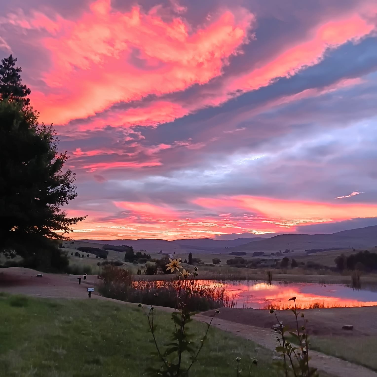 Schaefer's Halt Sunset.jpeg