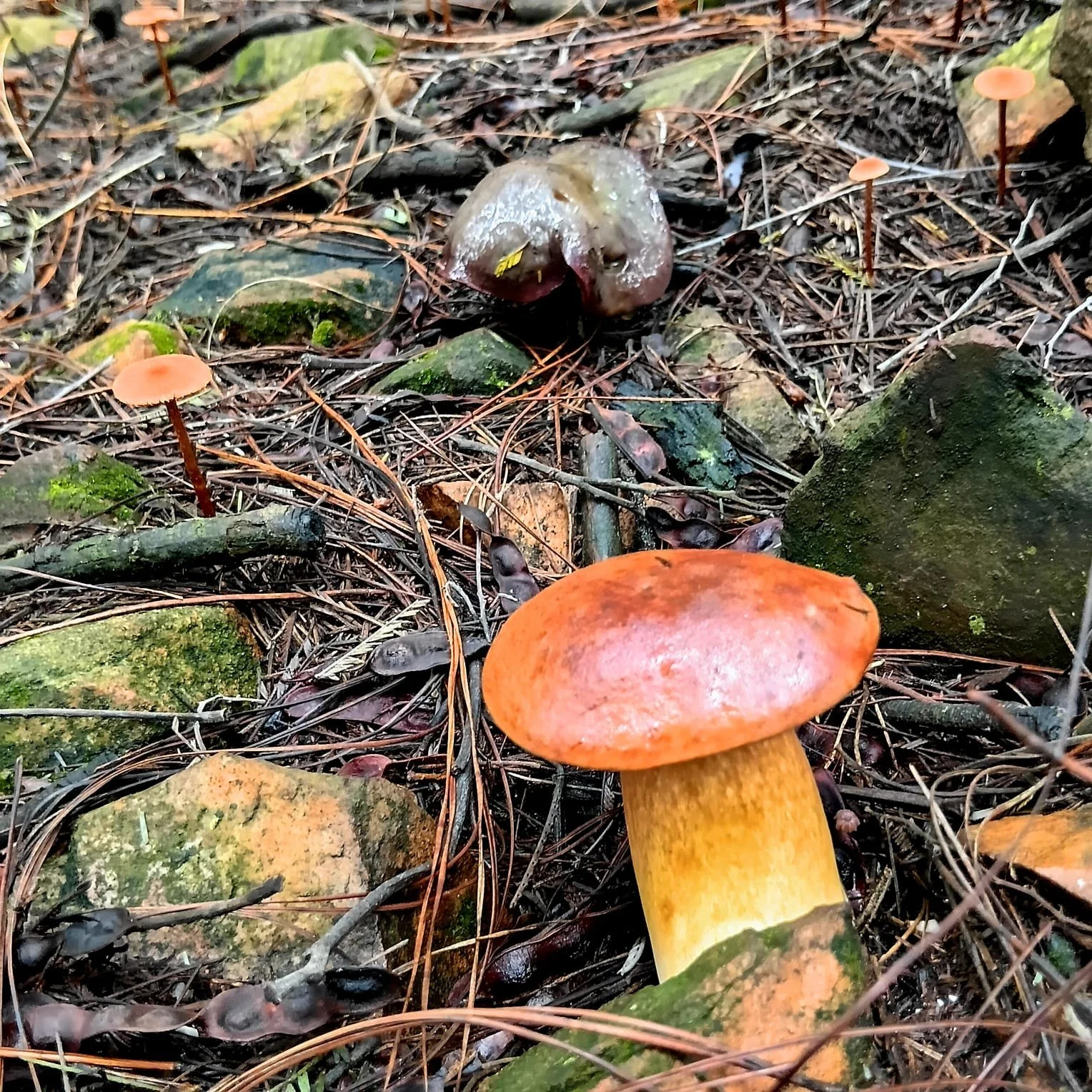 WhatsApp Image 2026-03-22 at 14.31.14 (2).jpeg