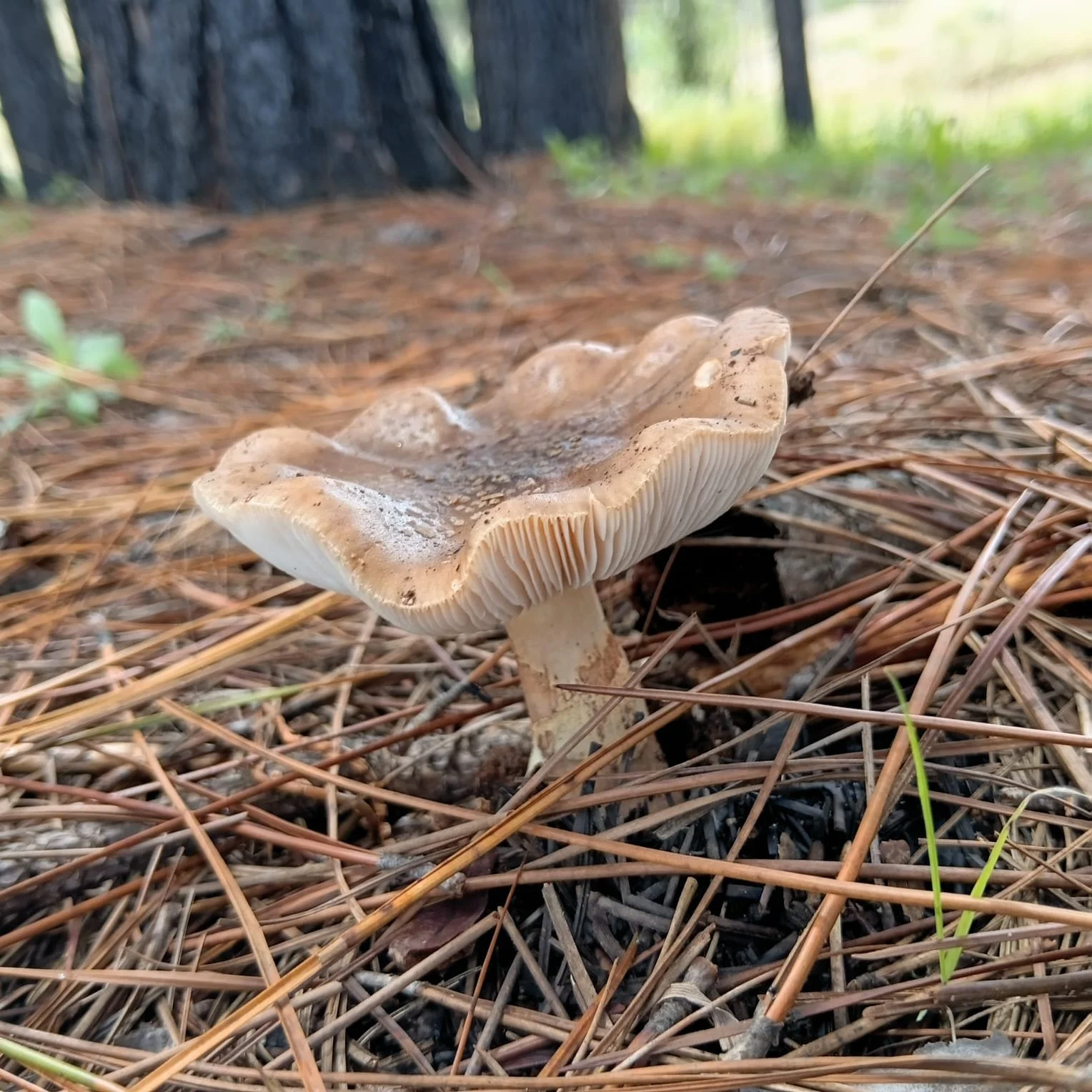 WhatsApp Image 2026-03-20 at 13.15.46 (3).jpeg