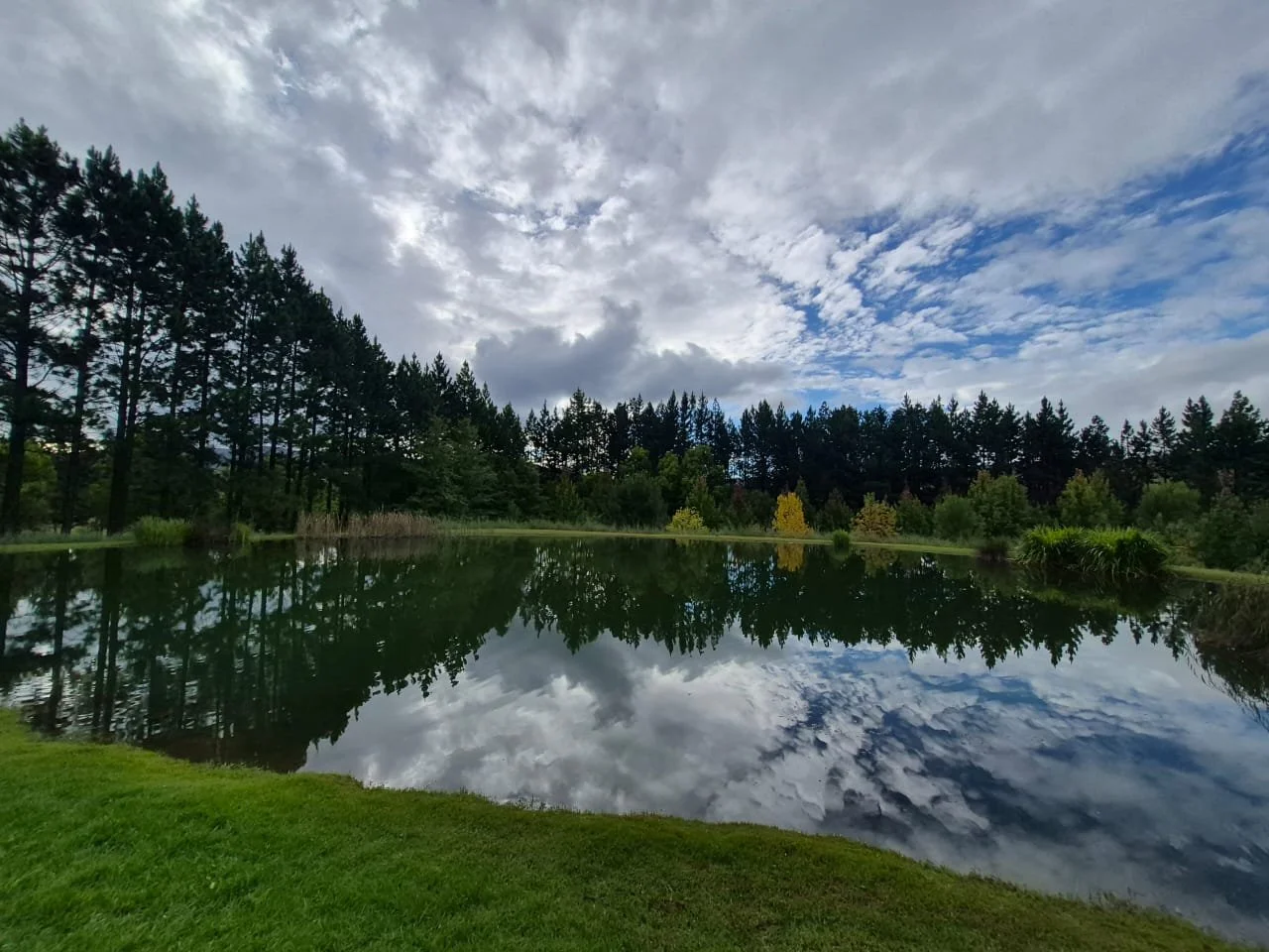 WhatsApp Image 2026-03-23 at 16.43.05.jpeg