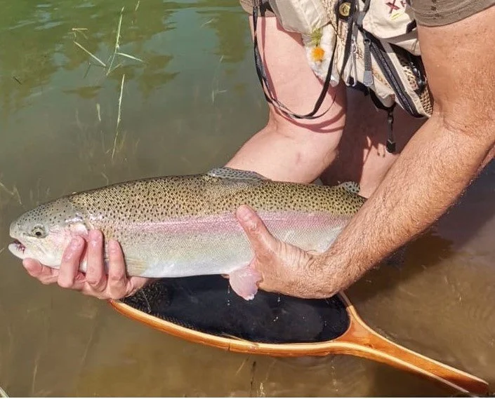 Trout B.jpg