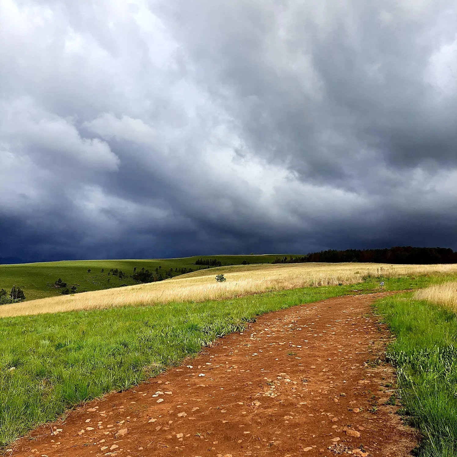 Schaefer's Halt Scenery (4).jpeg