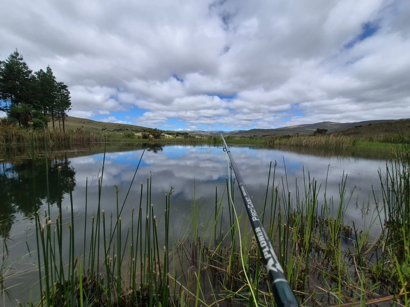 WhatsApp Image 2026-03-23 at 16.44.00.jpeg