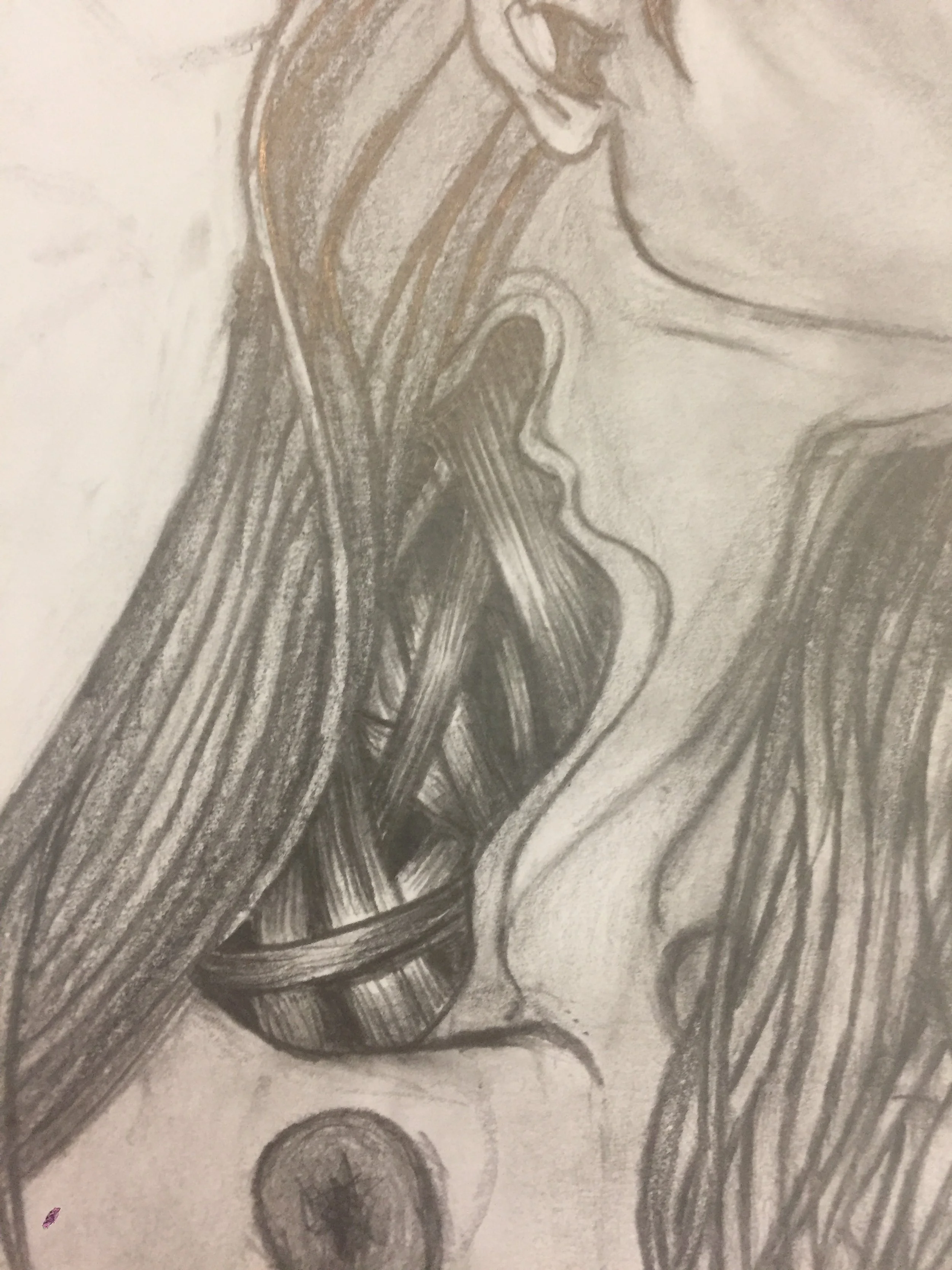 A detailed pencil sketch of a human neck and shoulder muscles, including the collarbone and surrounding muscle groups.