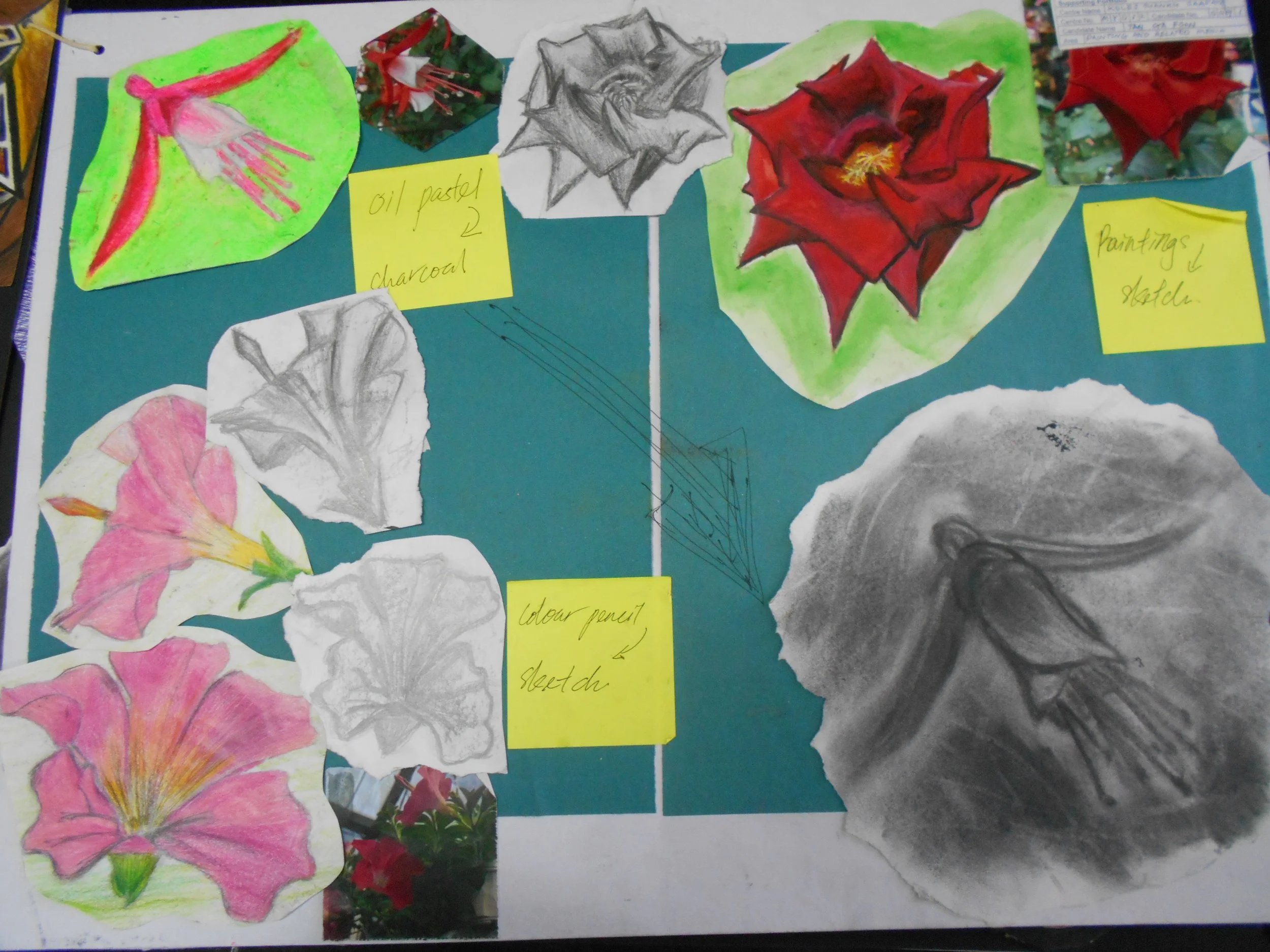 An art project display featuring colored and pencil sketches of flowers, small notes describing the art process, and some live flower photographs. Notable notes include 'oil pastel & charcoal,' 'color pencil sketch,' and 'paintings & stencils.'
