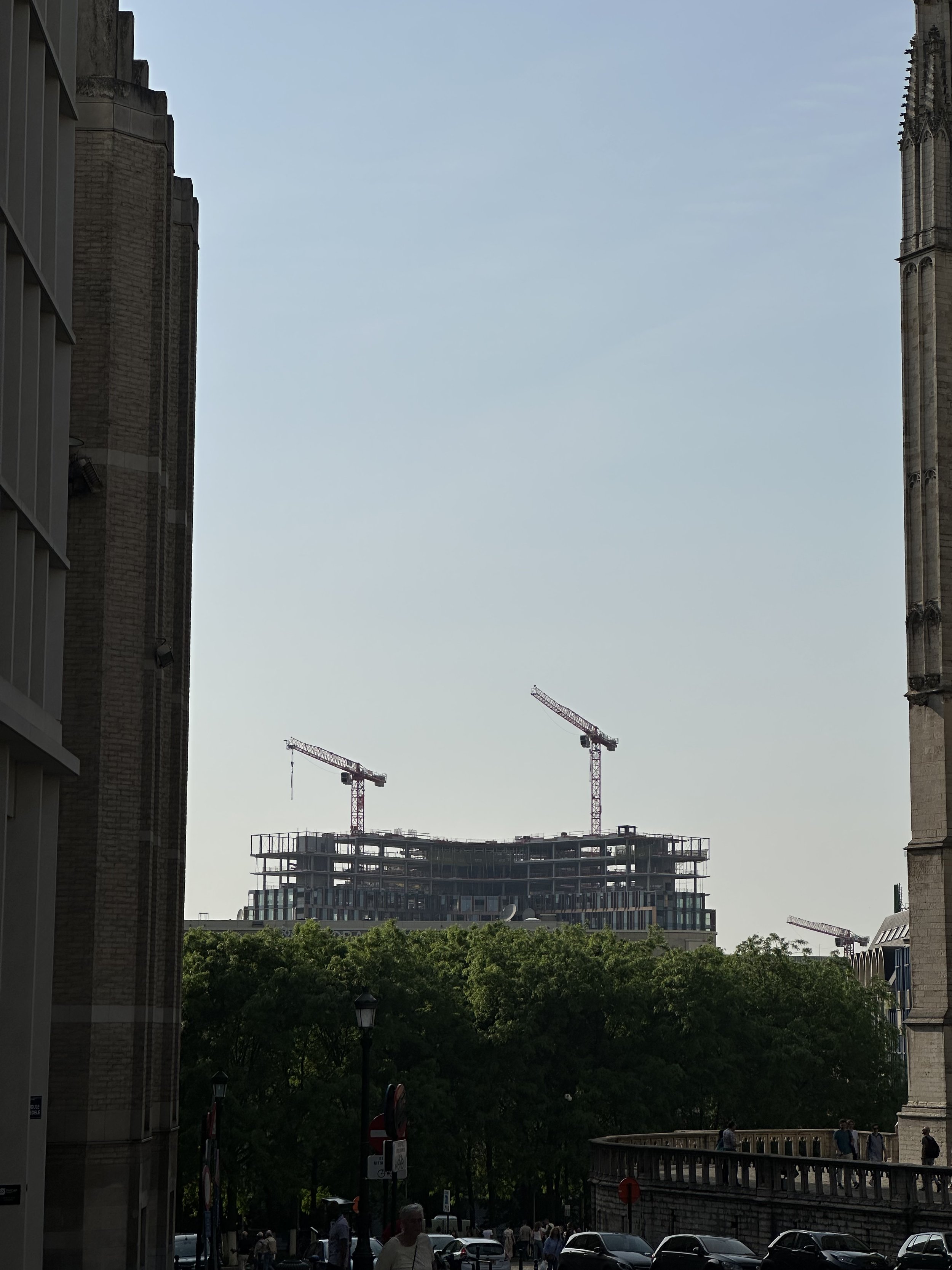 IMG_9389.jpeg