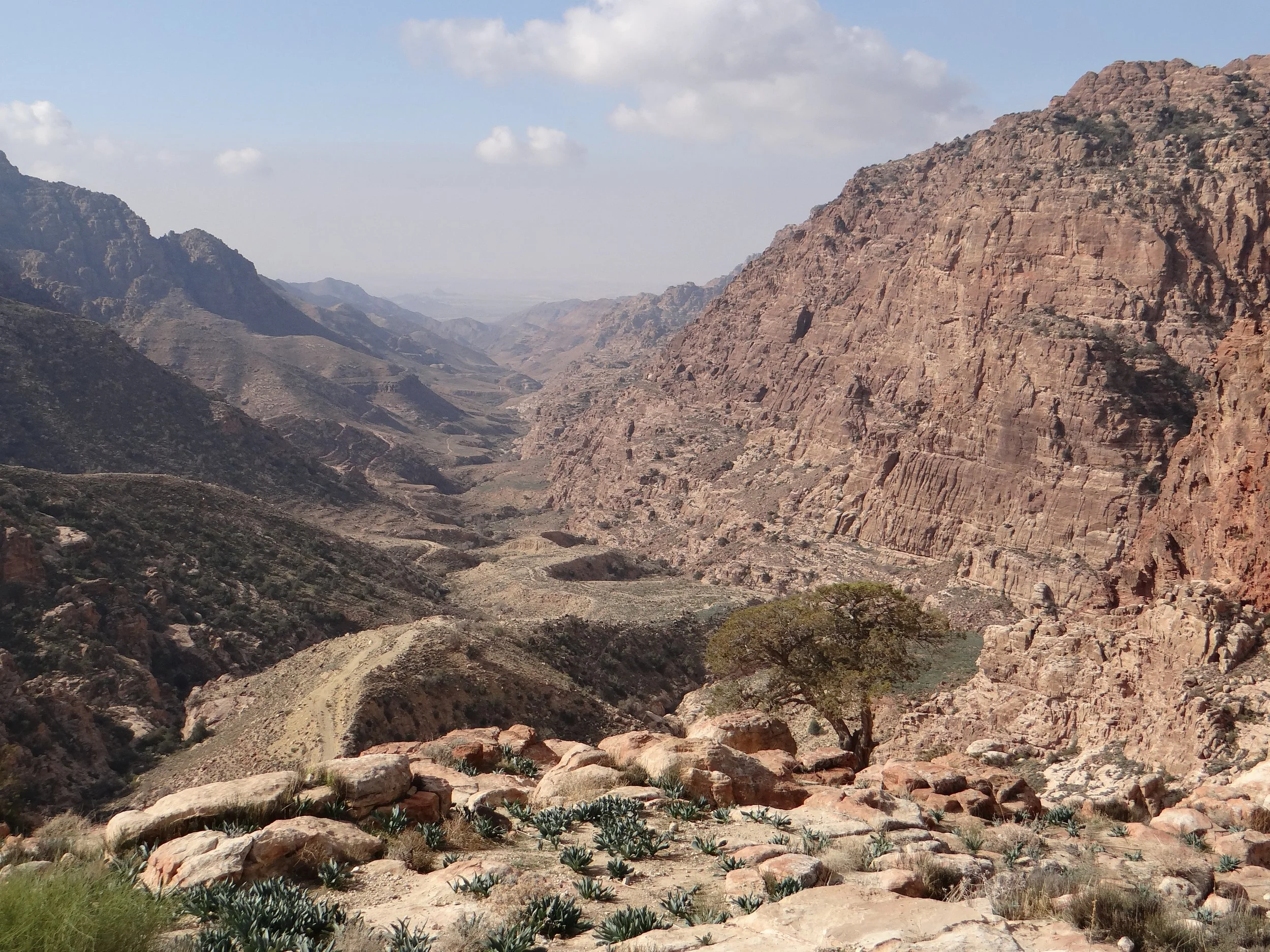 A rugged, arid canyon landscape with steep, rocky cliffs on the right and rolling hills on the left, with sparse vegetation and a dirt trail winding through a valley in the Dana Nature Reserve in Jordan.