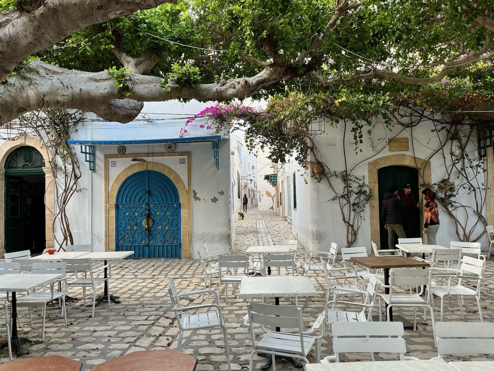A picturesque outdoor courtyard with white tables and chairs, a cobblestone ground, and white buildings in Mahdia, Tunisia. Overhanging trees with pink flowers shade the area, and three people are standing and talking near one of the doors.