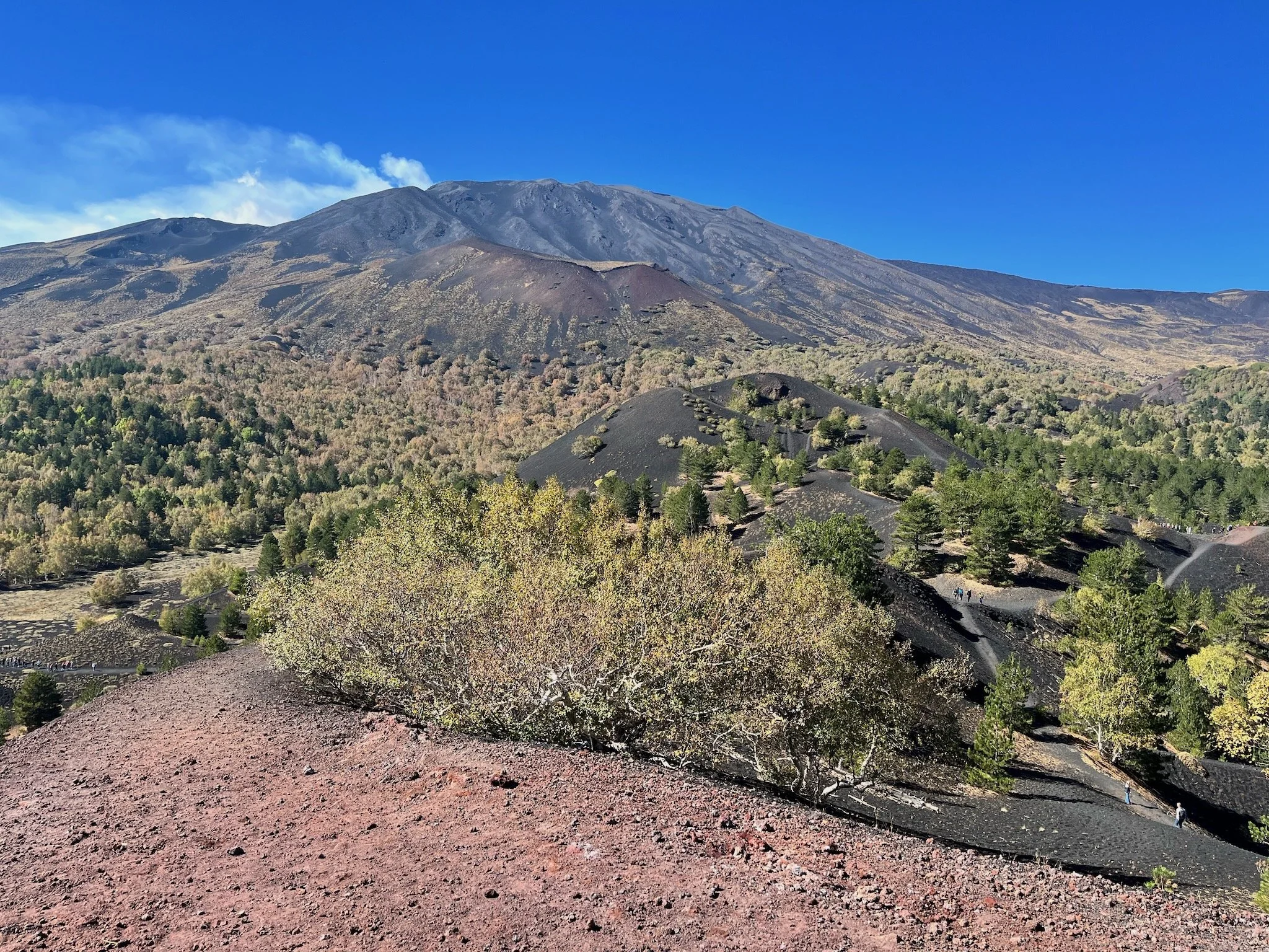 Scenic landscape of Etna volcano in Sicily, Italy with an area with dark volcanic rocks, a large mountain in the background, and colorful trees in the foreground under a clear blue sky.