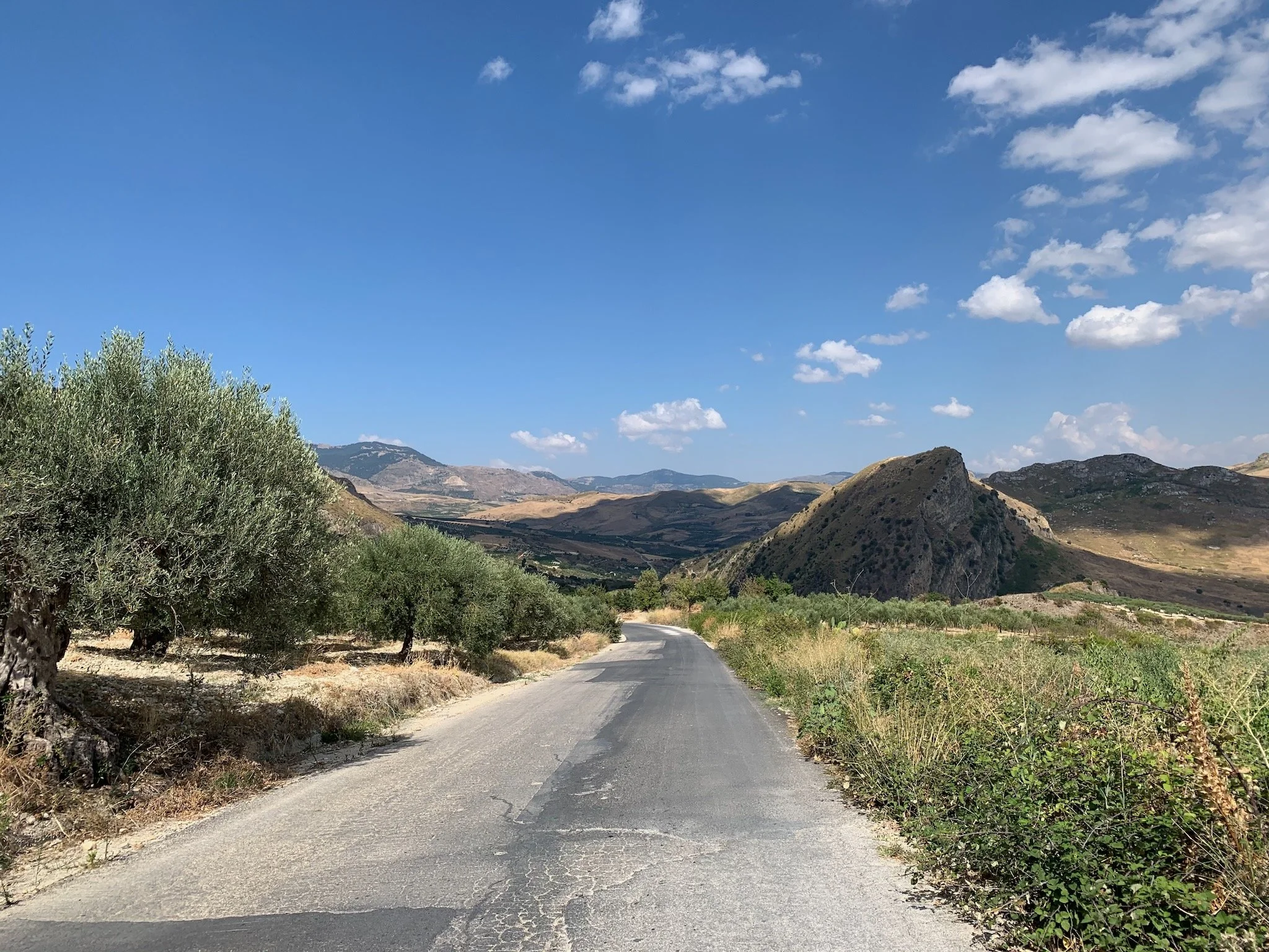 A narrow winding country road in Sicily running through a rural landscape with green olive trees and shrubs on both sides, distant hills and mountains under a blue sky with scattered clouds.