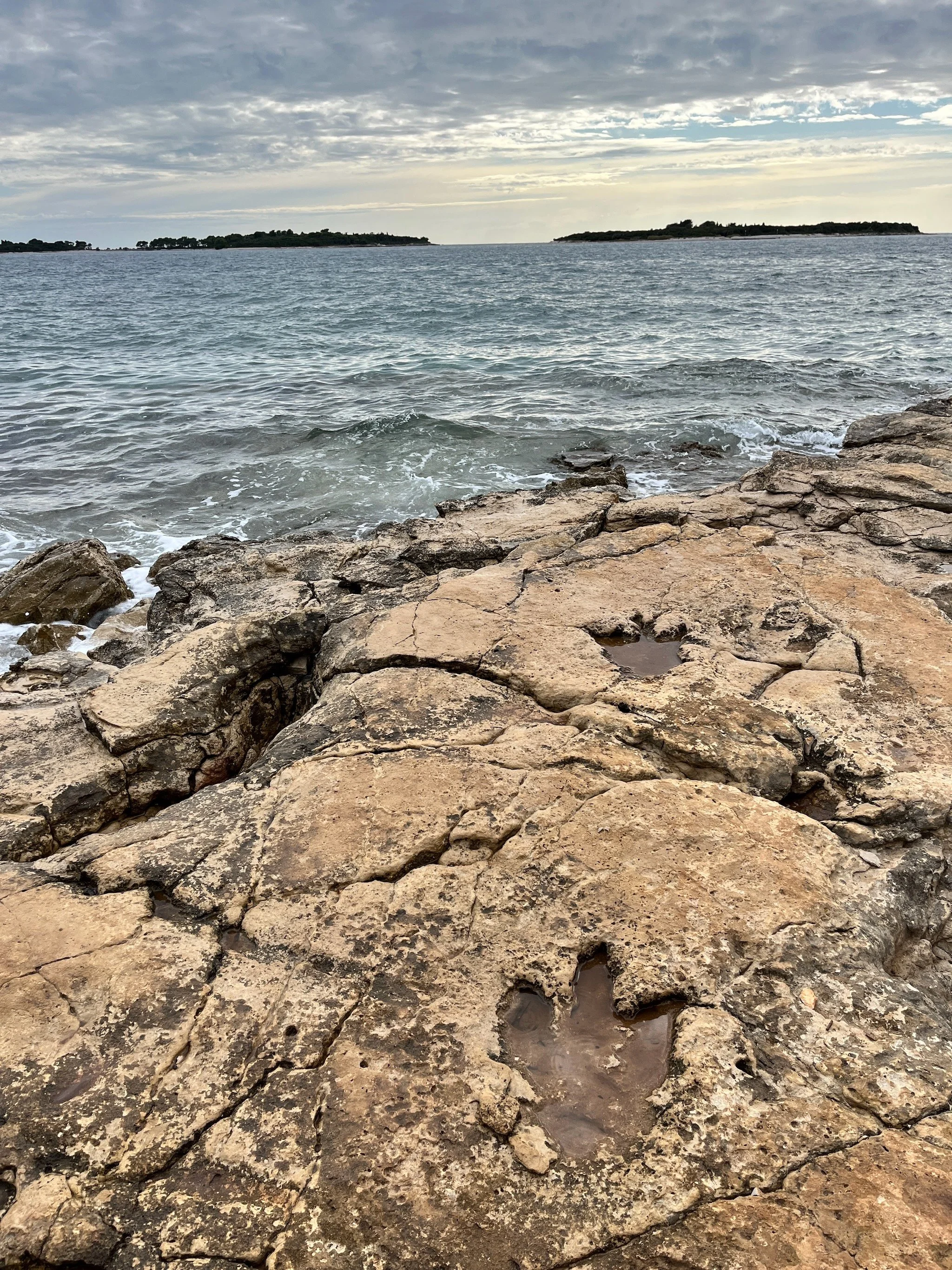 Rocky shoreline with dinosaur footprints with the Adriatic Sea  and islands in the distance under a cloudy sky, in the Brijuni archipelago national park, Istria, Croatia.