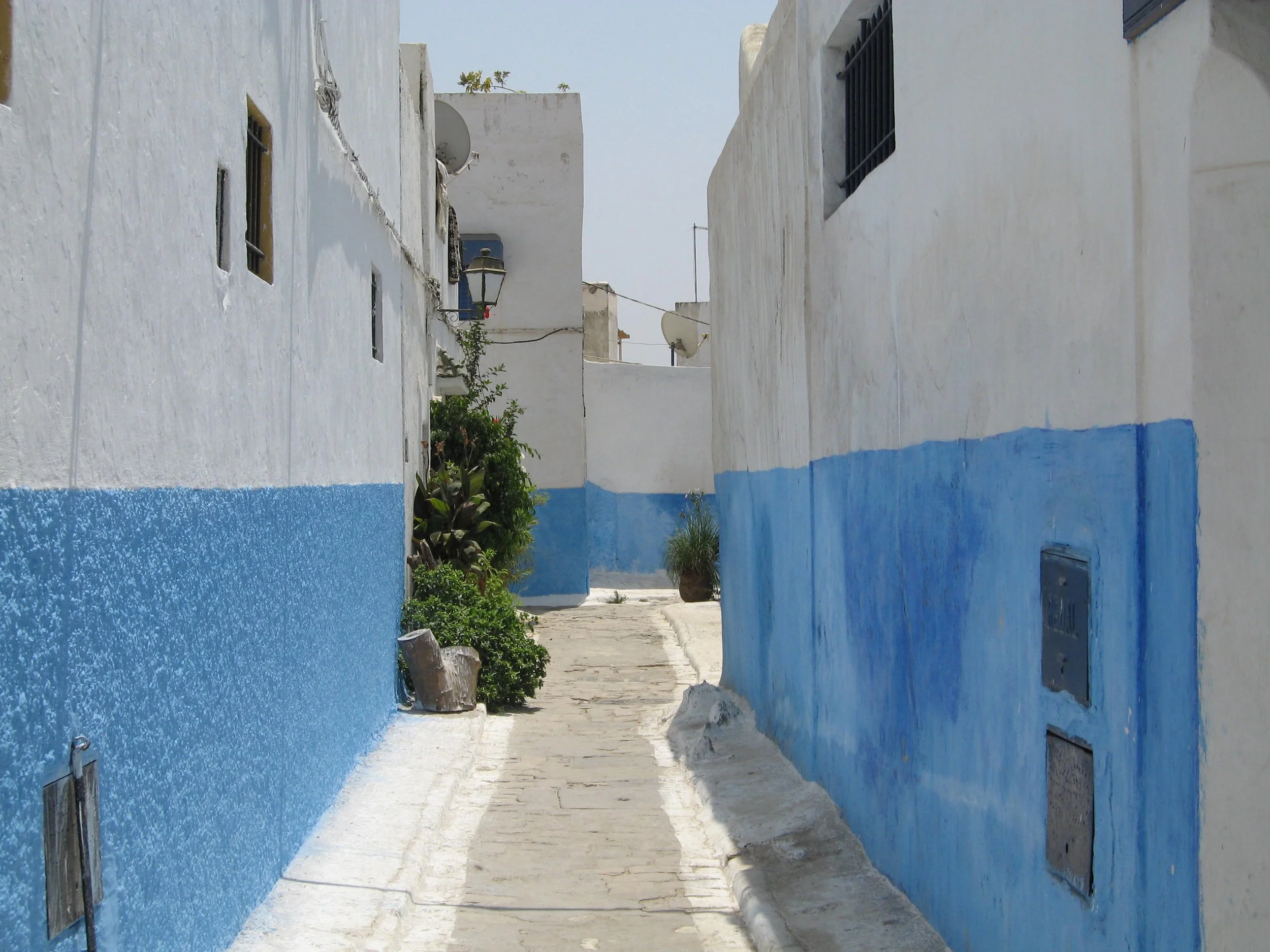 Narrow alleyway with white and blue painted walls, plants, and windows with bars in the Medina of Rabat, the capital of Morocco.