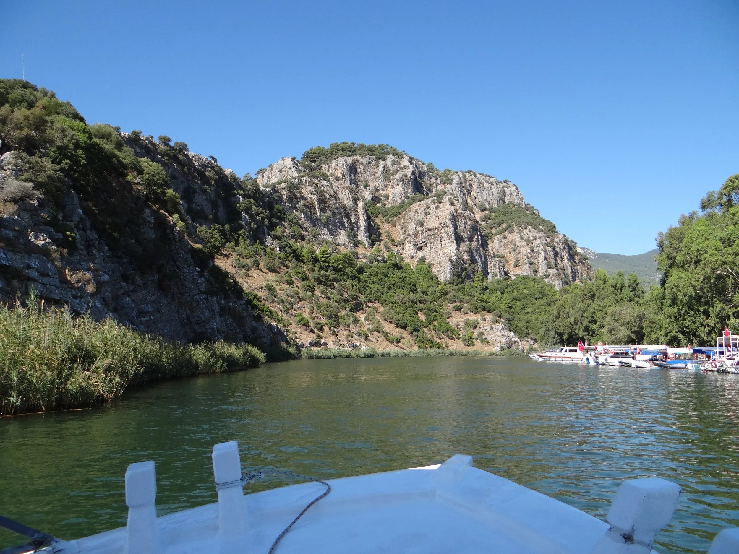 View from a boat on a river with green water, near Dalyan, Turkey, surrounded by lush trees and rocky cliffs under a clear blue Mediterranean sky. Several boats docked along the riverbank on the right side.