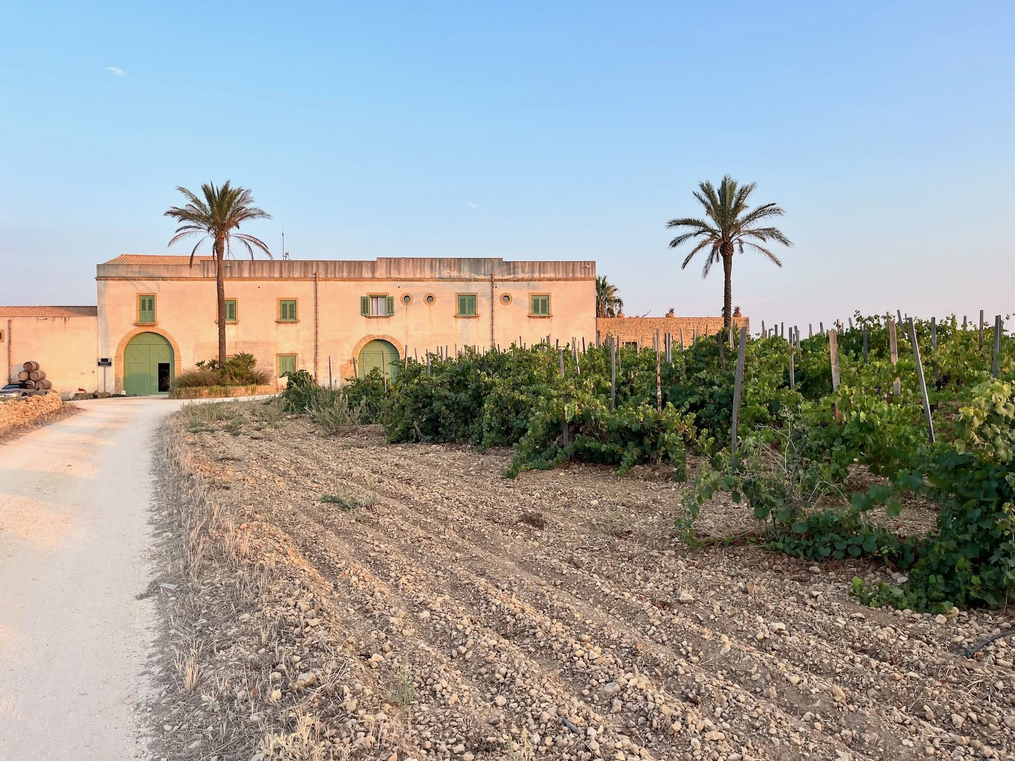 A rural scene from western Sicily in the countryside near Trapani  with a gravel road, a stone building called a "Baglio" with green doors and windows, palm trees, and cultivated farmland with rows of grapevines under a clear blue sky.