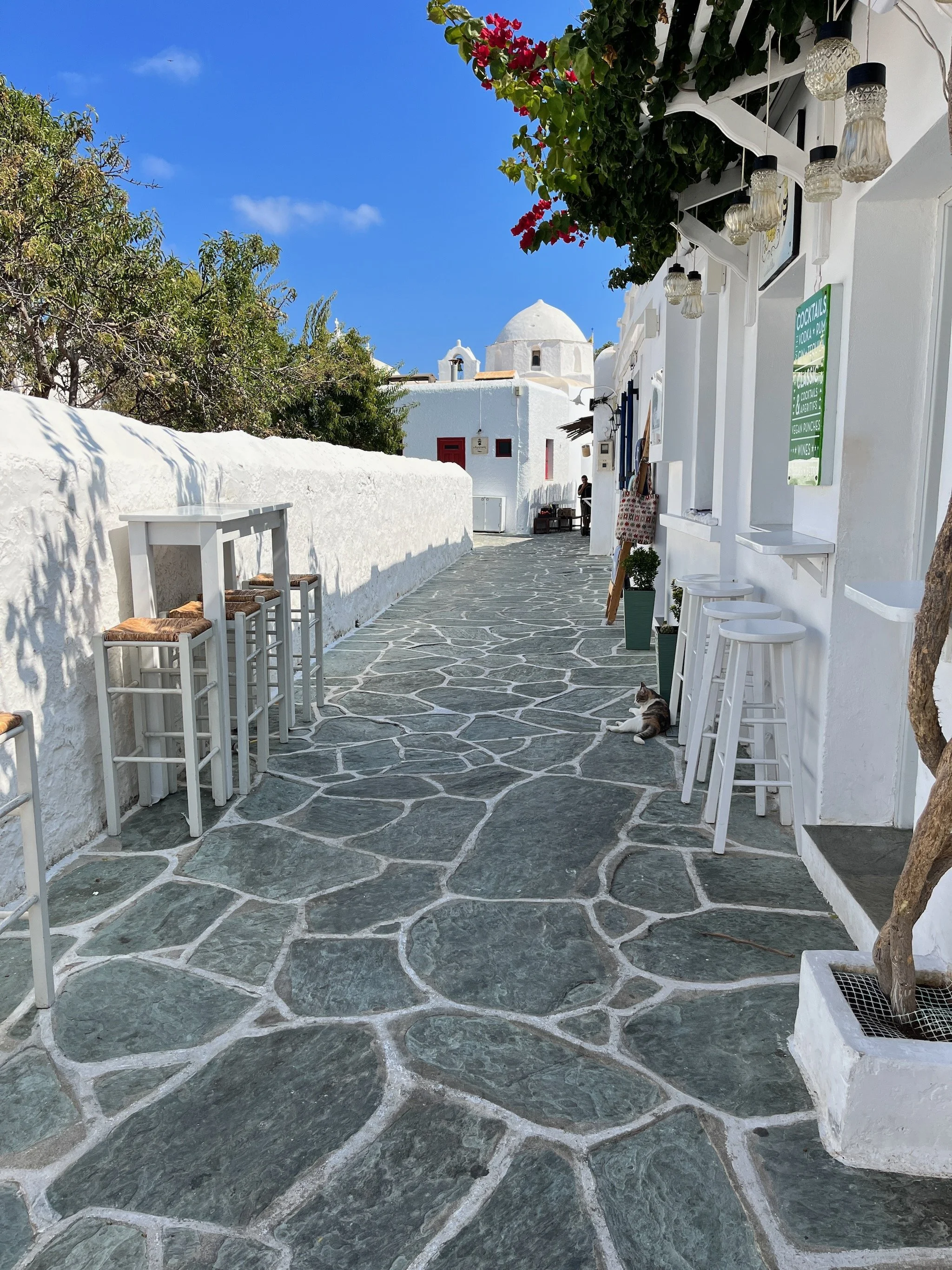 A typical, cobblestone street of the Chora of Folegandros in the Cyclades, Greece, with white buildings, colorful flowers, and hanging lights. A cat reclines on the sidewalk, and there are empty white barstools and chairs along the street.