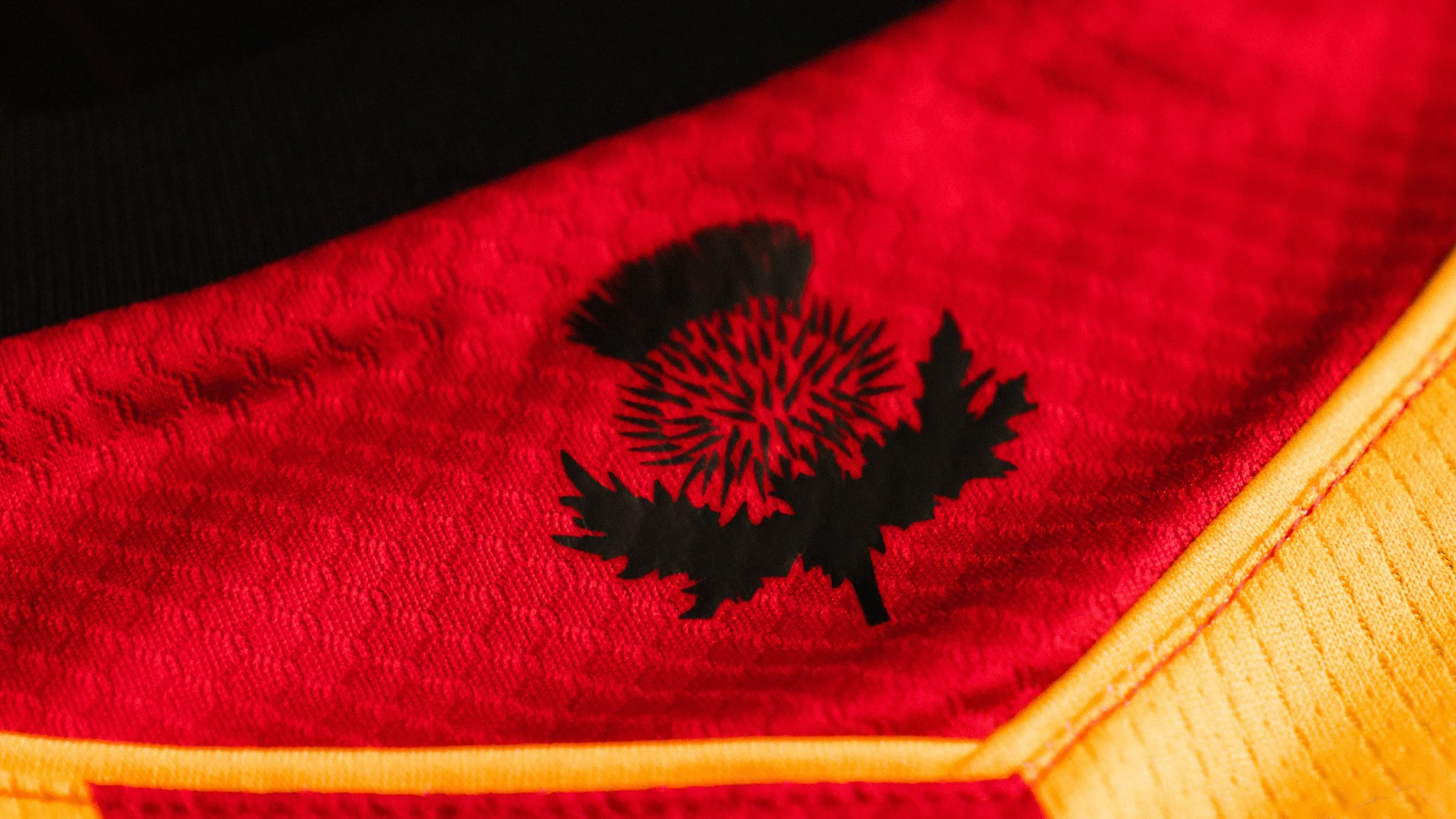 Partick_Thistle_-33.jpg