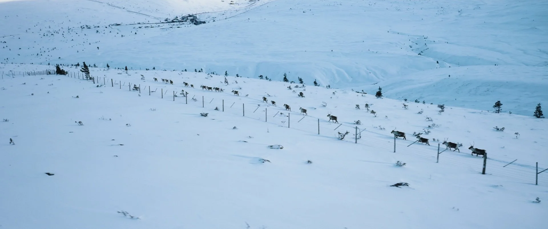 Aviemore Short Doc Stills_1.12.1.jpg