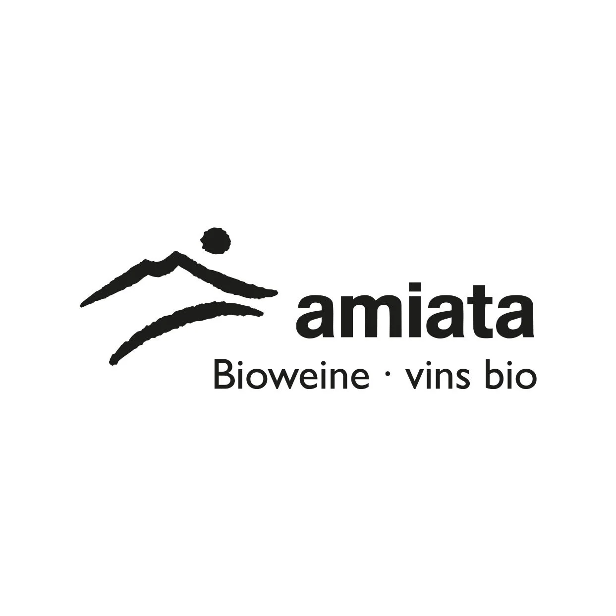 Amiata_Sponsor.jpg