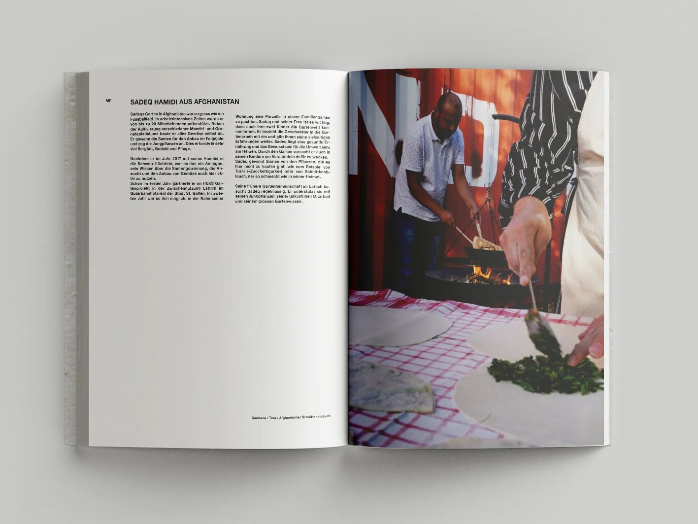 [[nav: saatgut buch]]