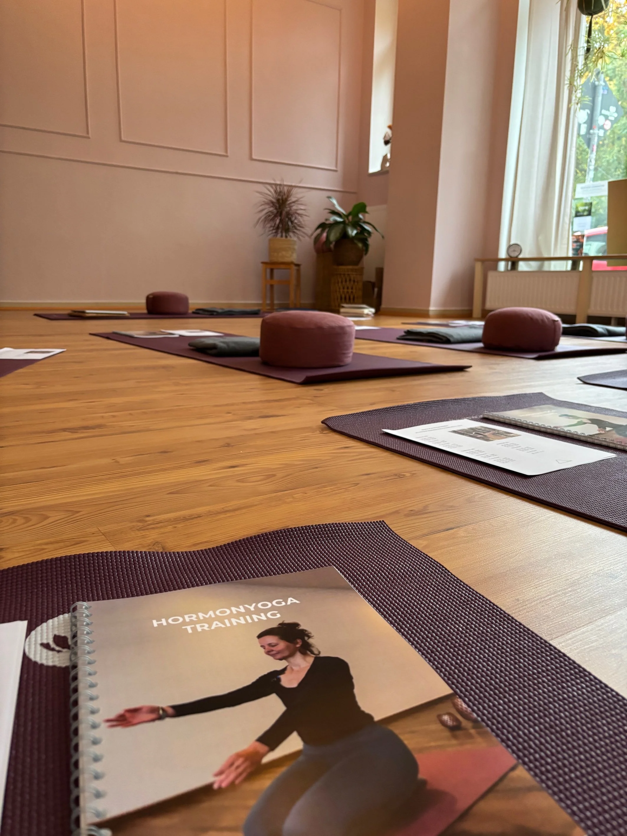 EXTERN - Hormonyoga Ausbildung
