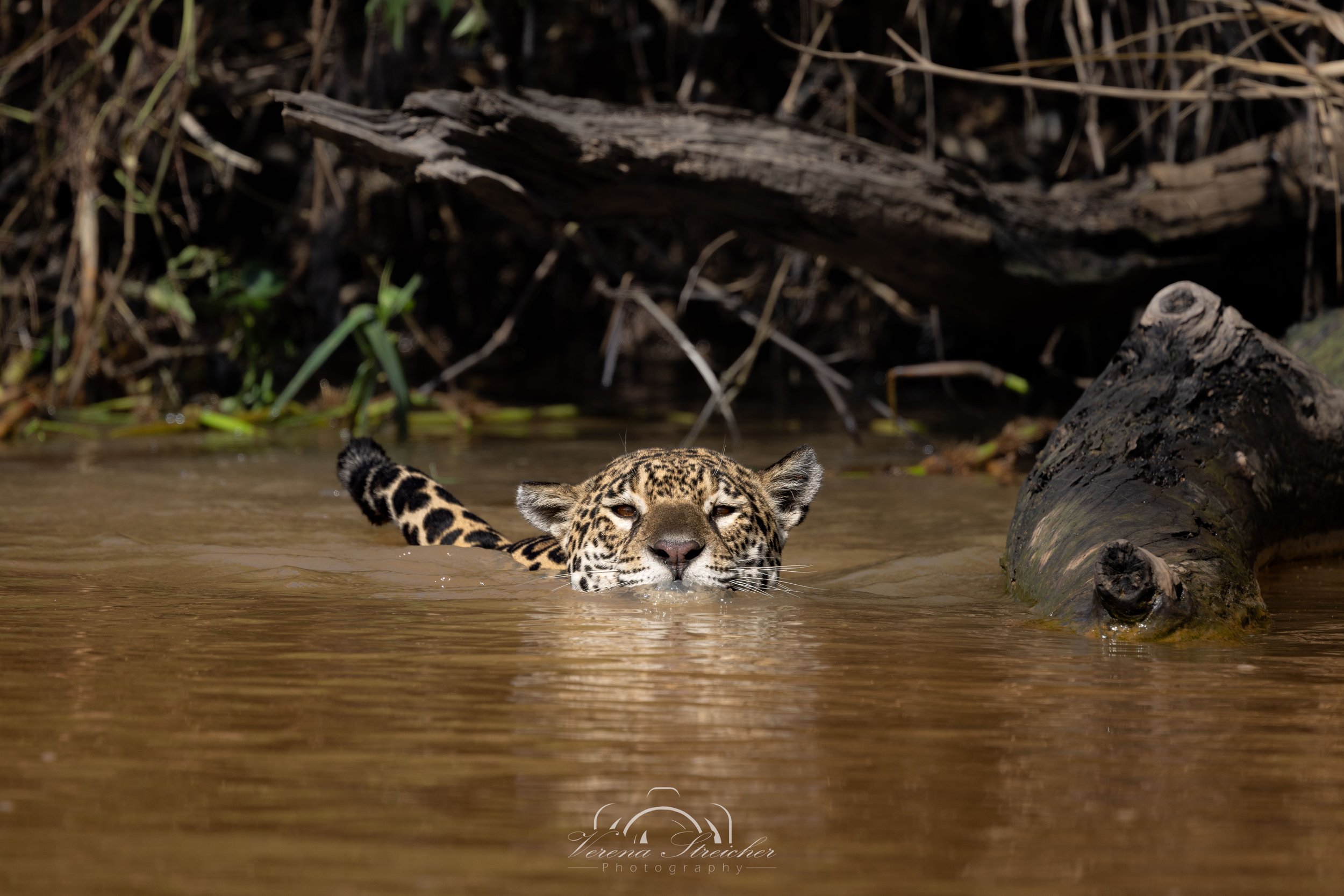 Crossing wild waters