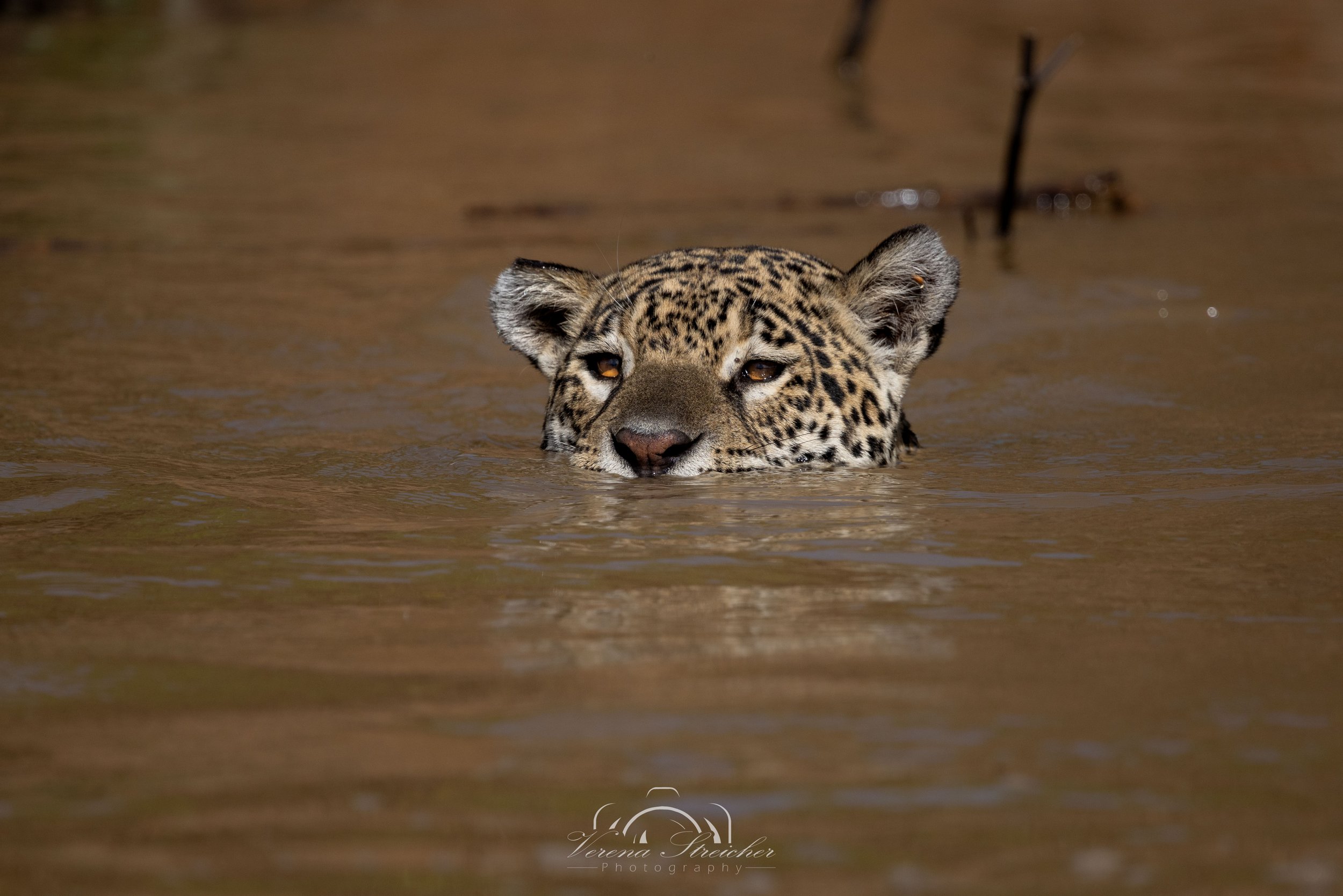 Keep my head above water