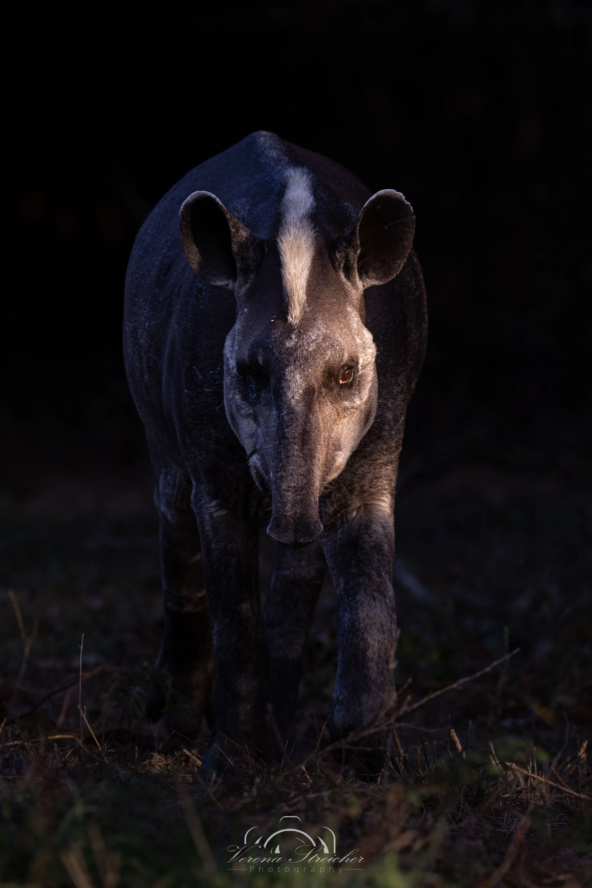 Old man illuminated