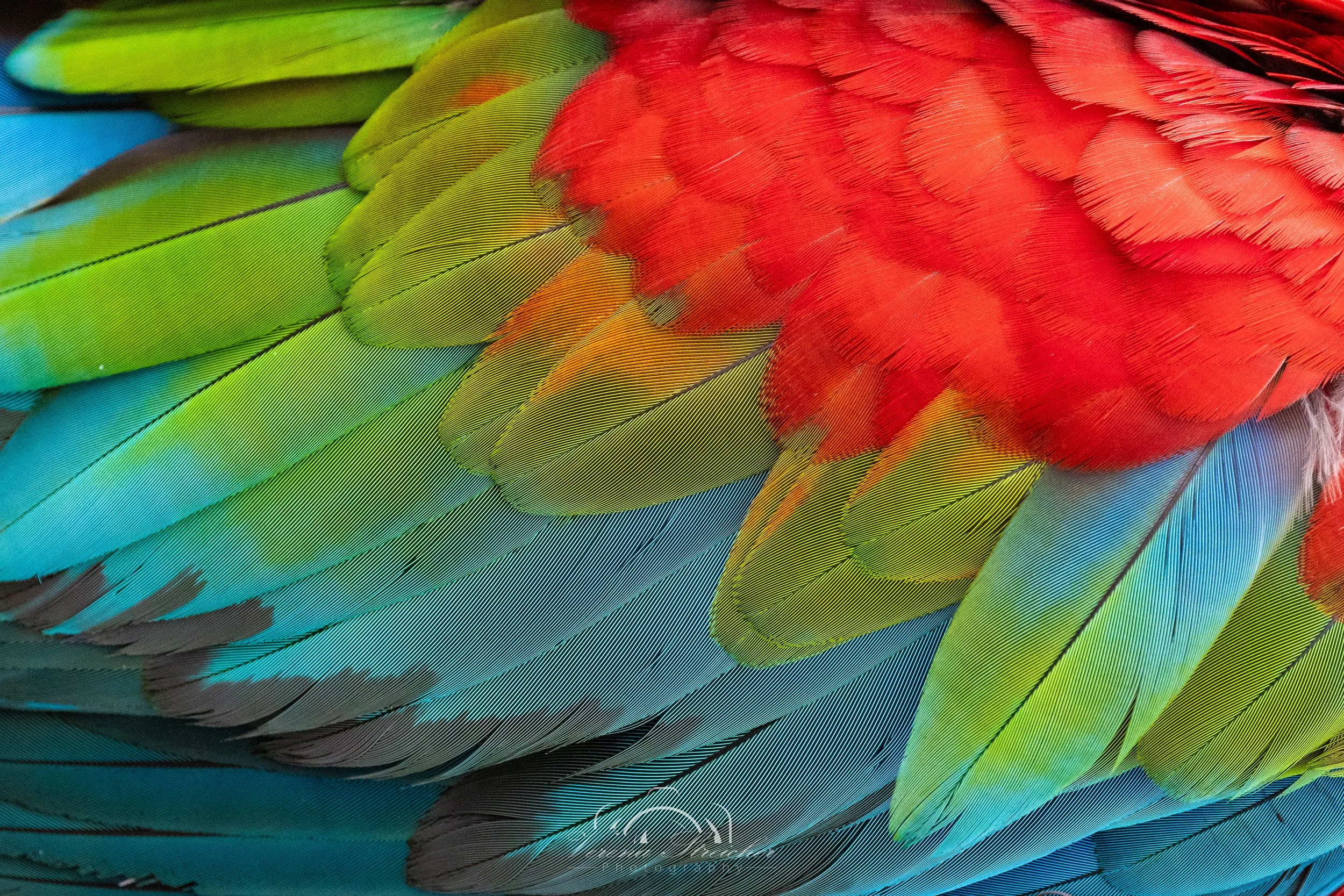 Colour palette