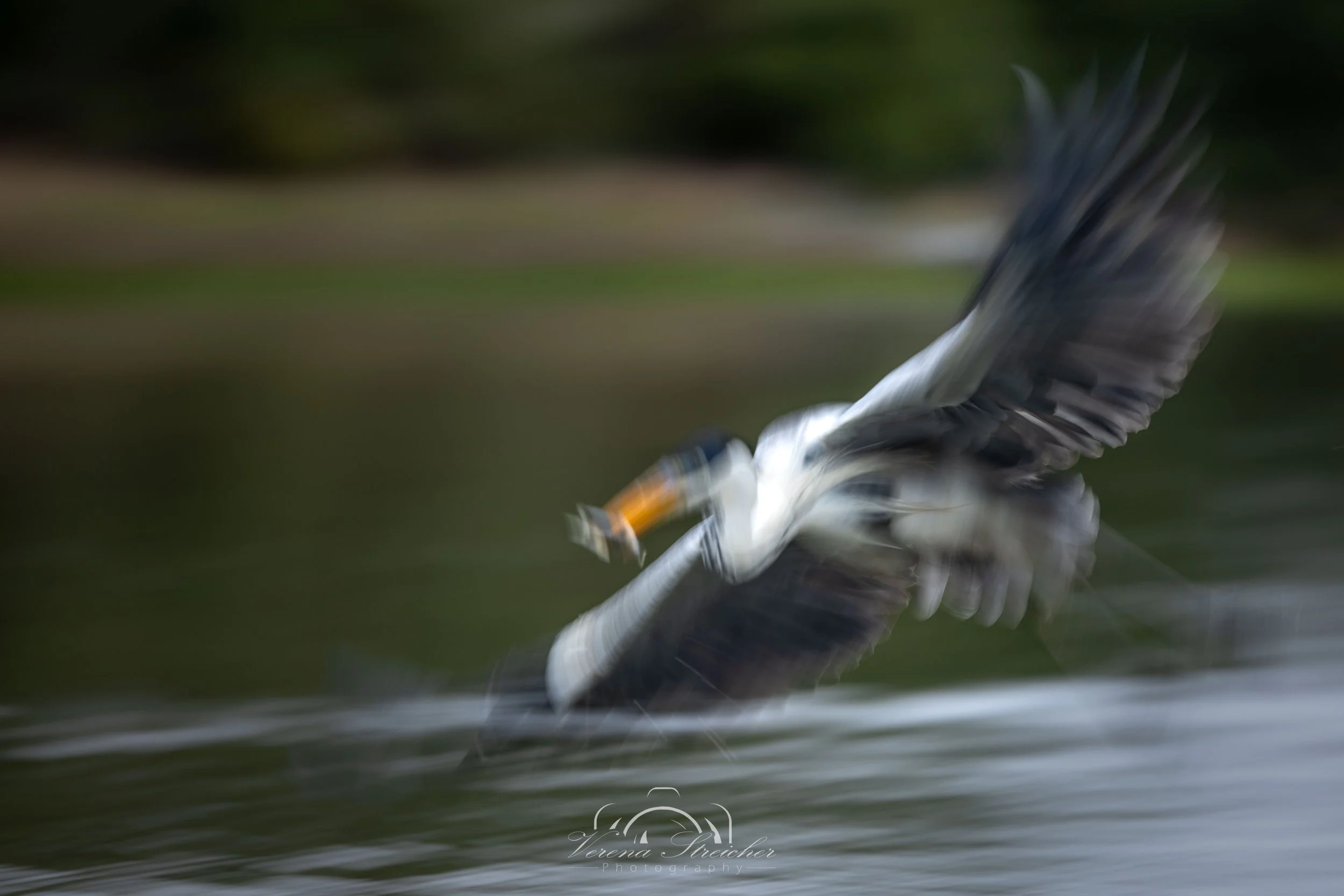 Brushed by light, shadow and motion
