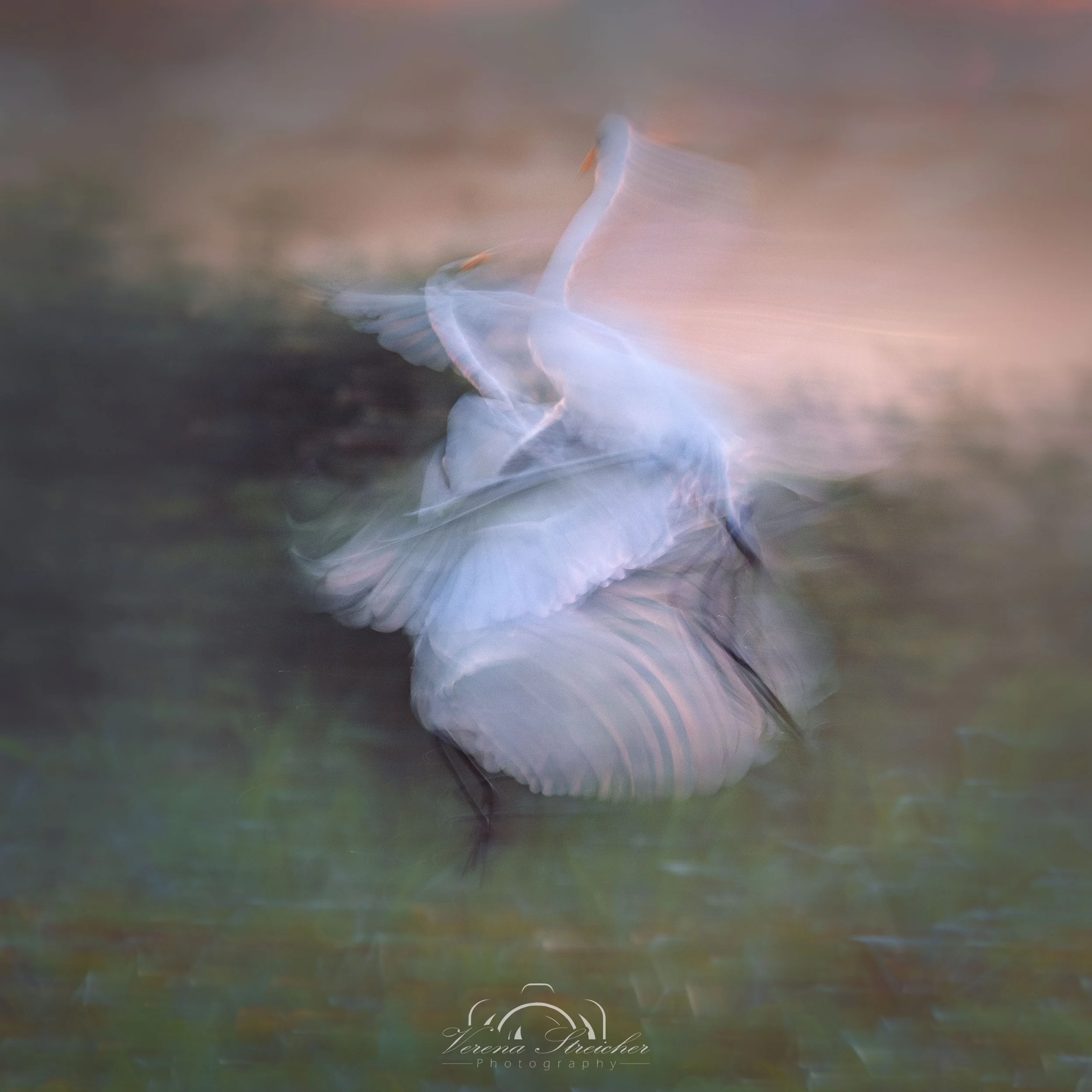 The dance