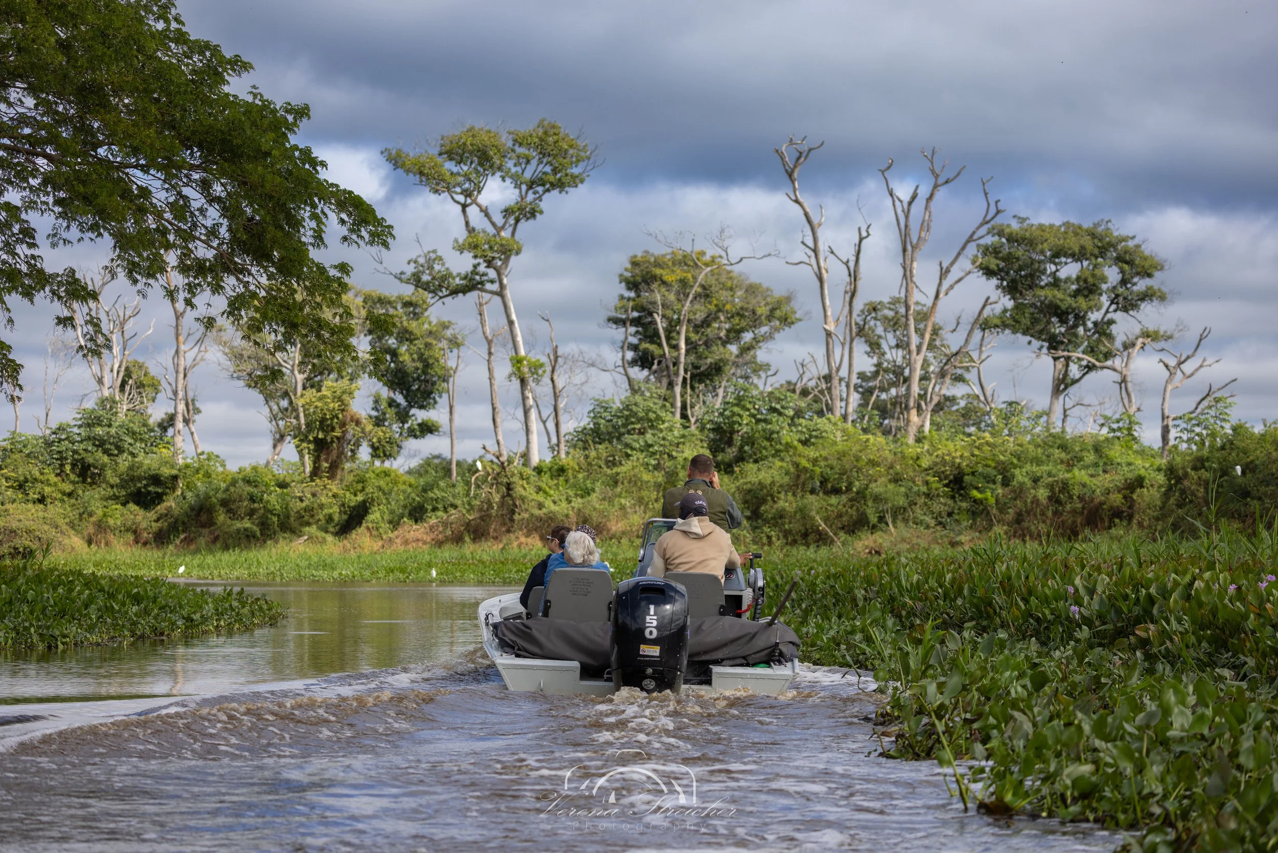 The beauty of Pantanal