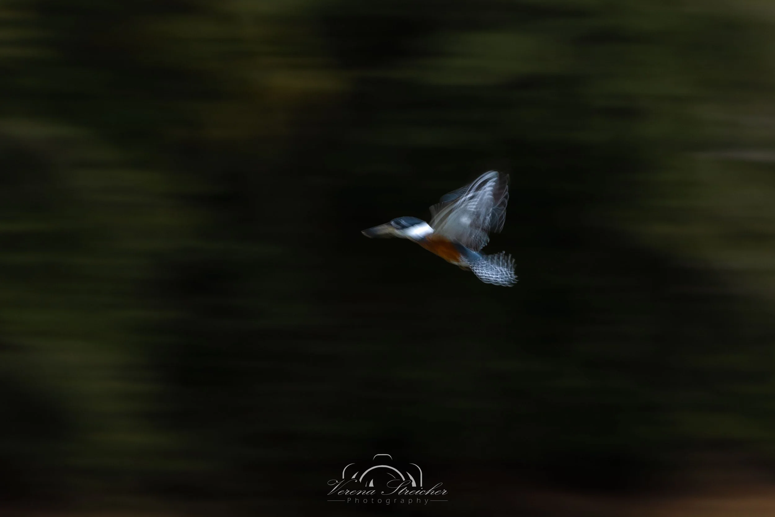 Freezing kingfisher's spirit