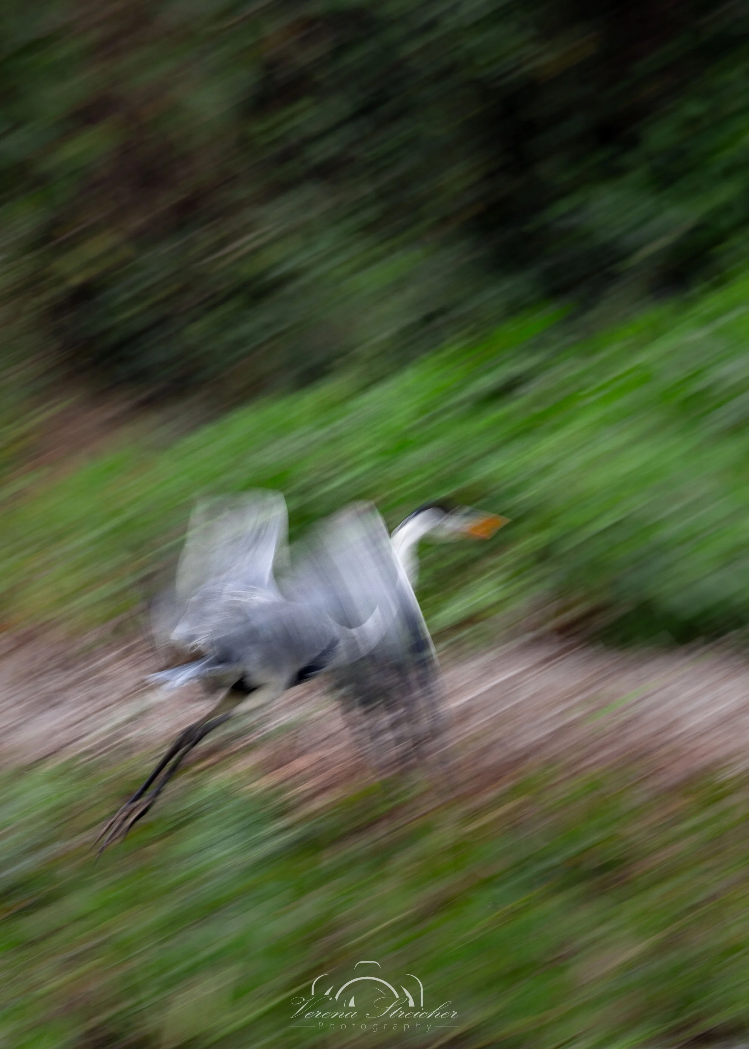 Always in motion