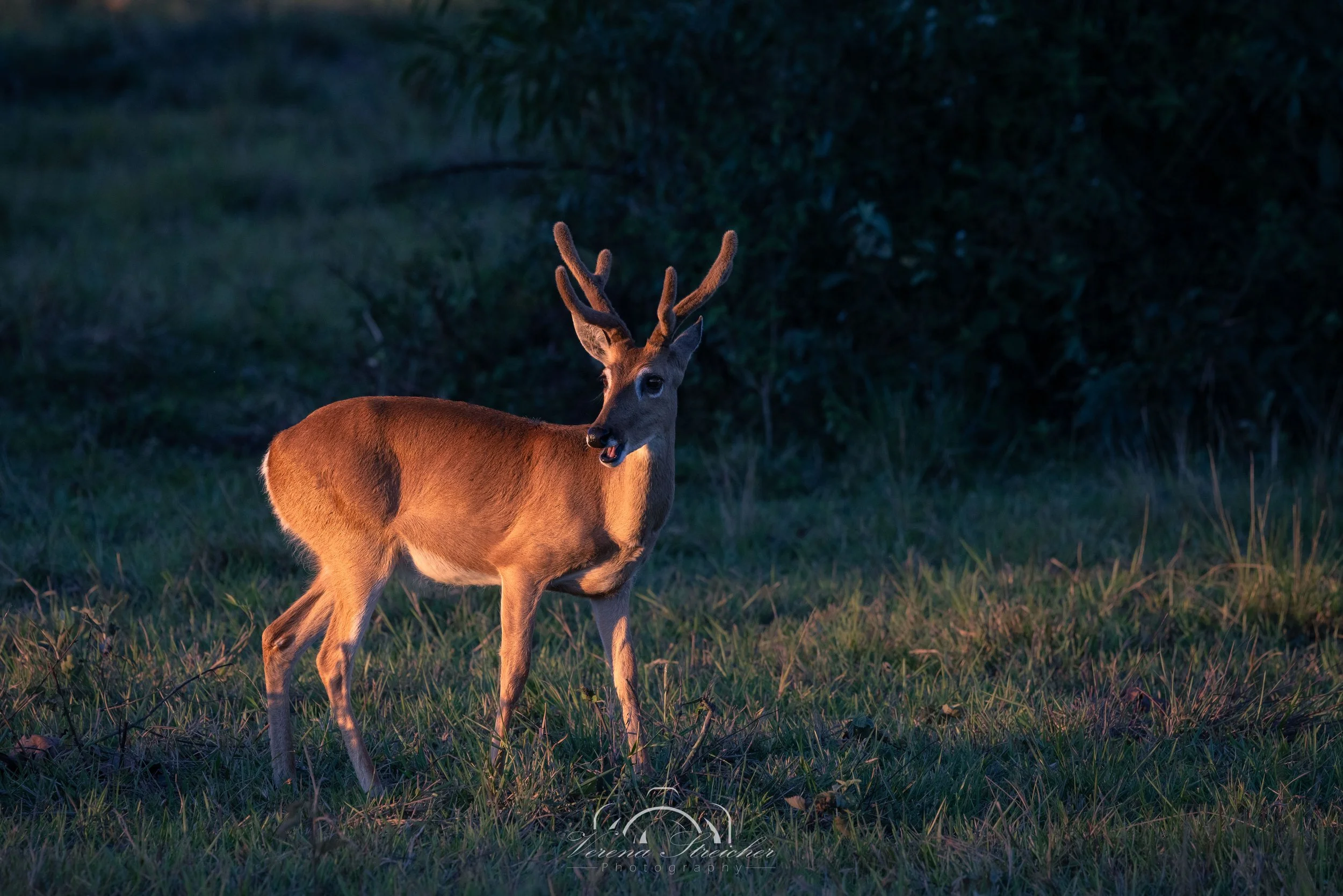 Natures make-up artist