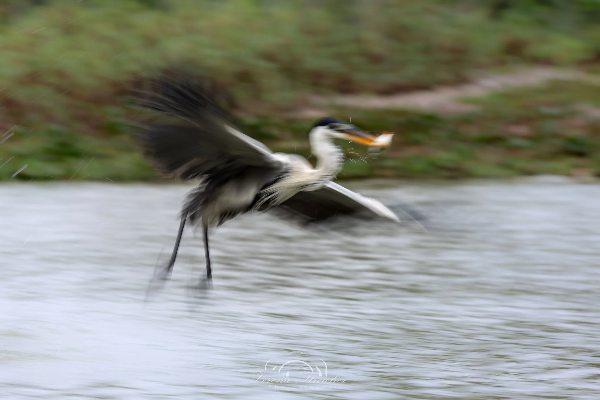 Securing the catch