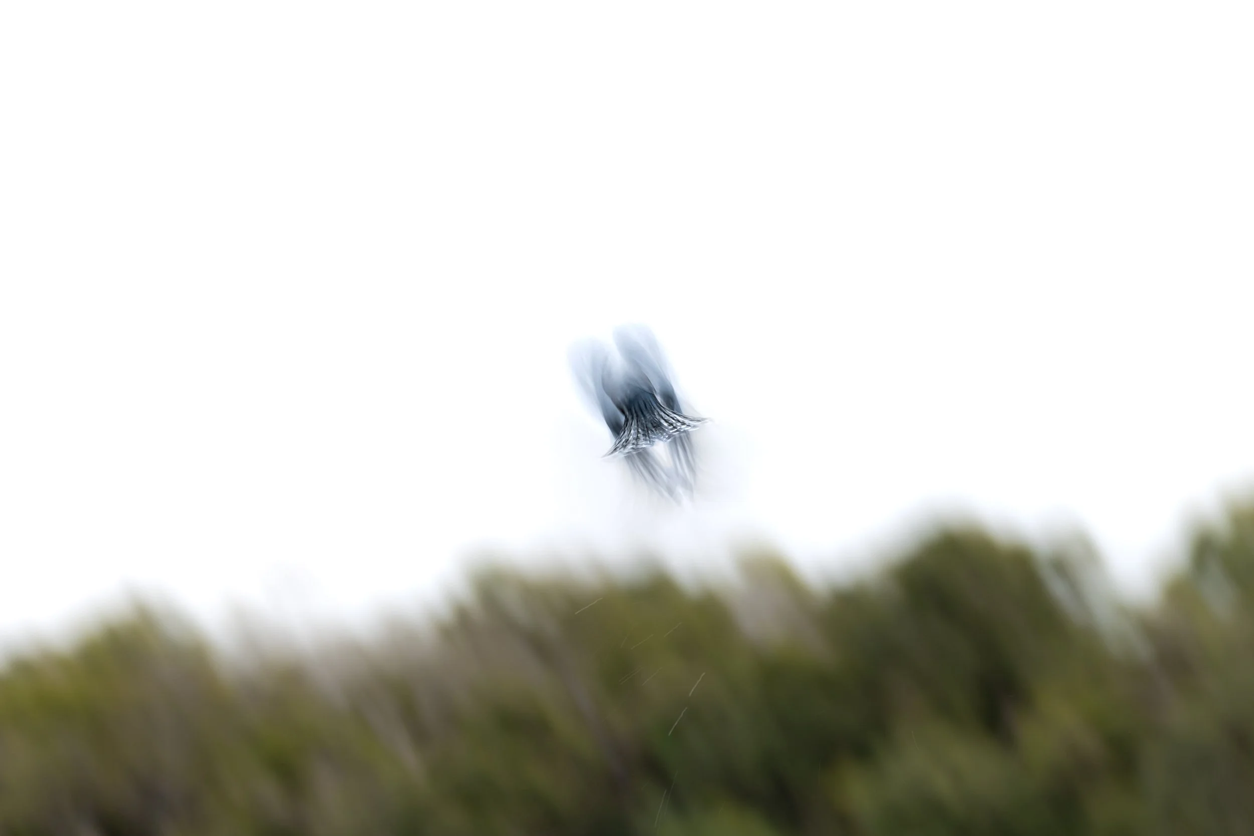 Jewel in motion