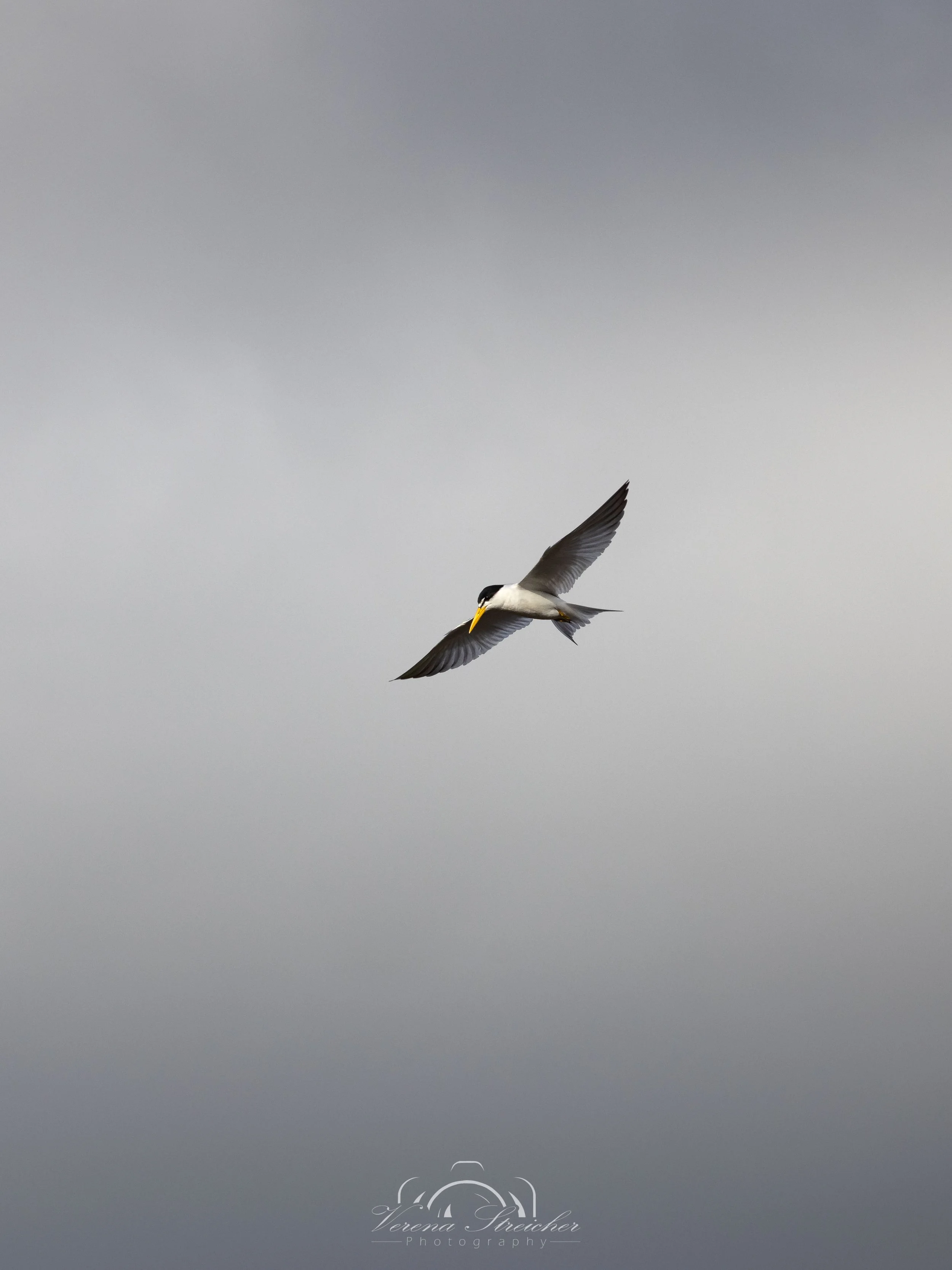 Thunderstorm approaching