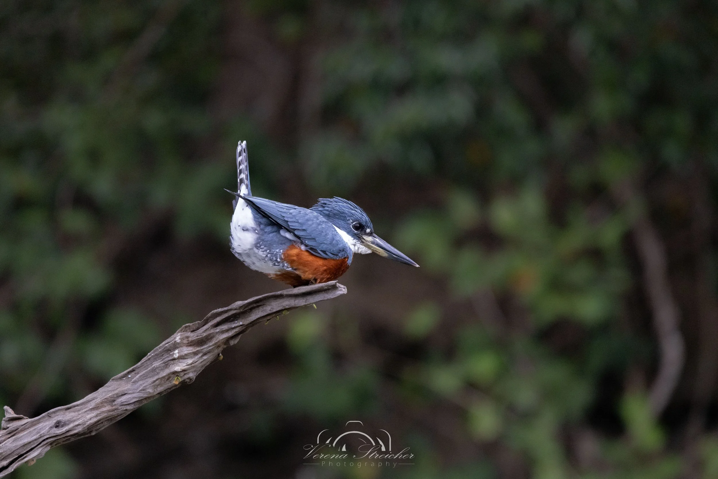 Ready for take-off