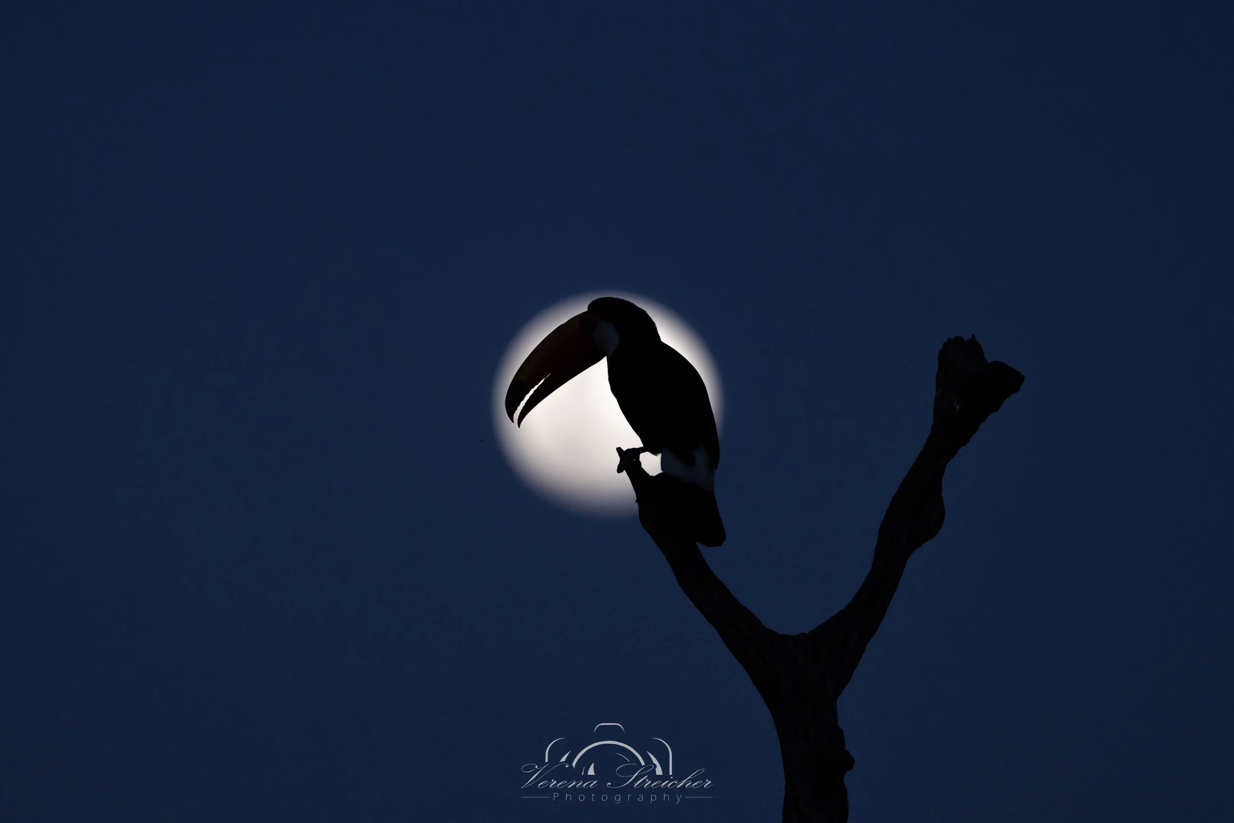 Full moon mood