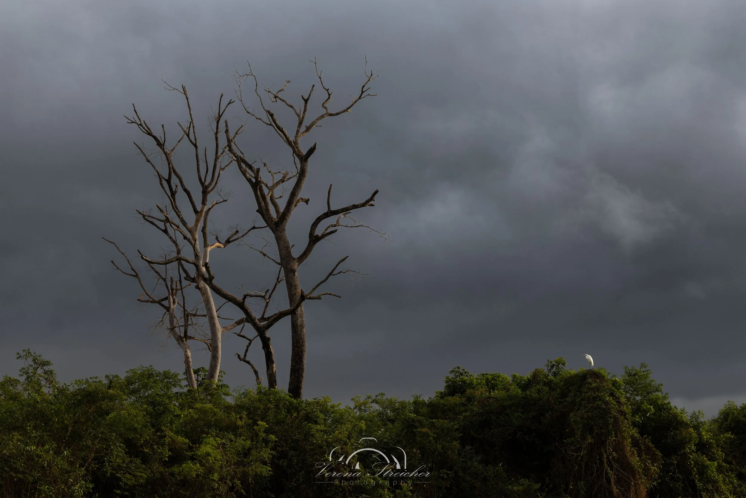 Dramatic sky
