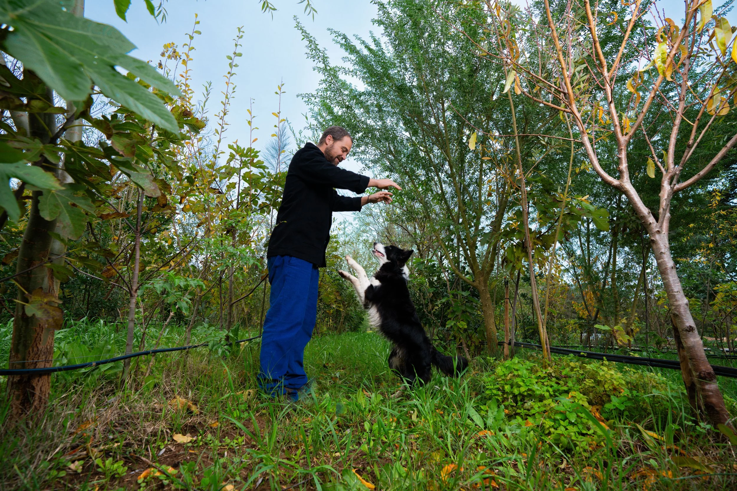 A nossa visão: sustentabilidade que se sente (e regeneração que fica)